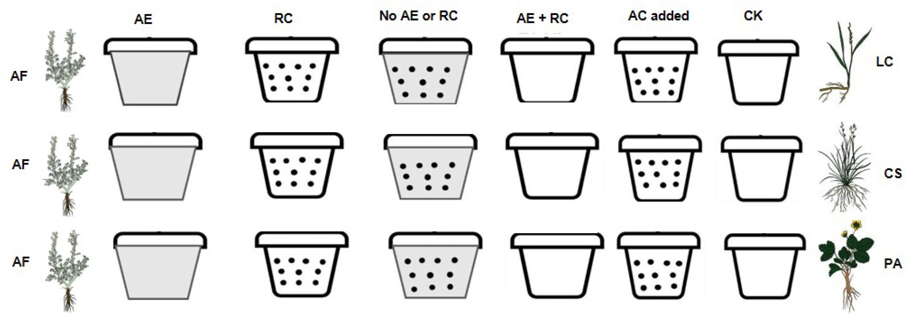 Plants 13 03286 g004