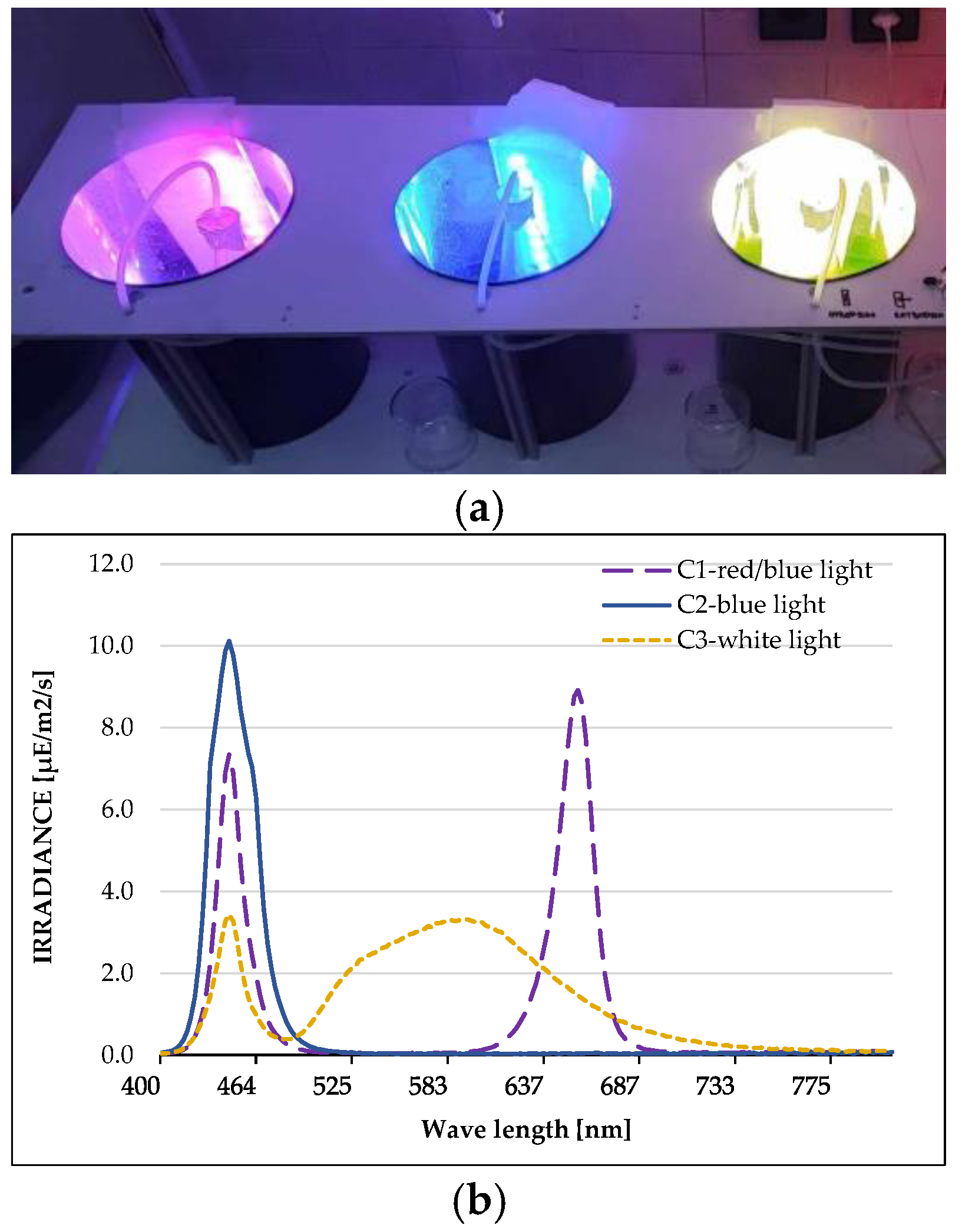 Plants 13 03295 g001