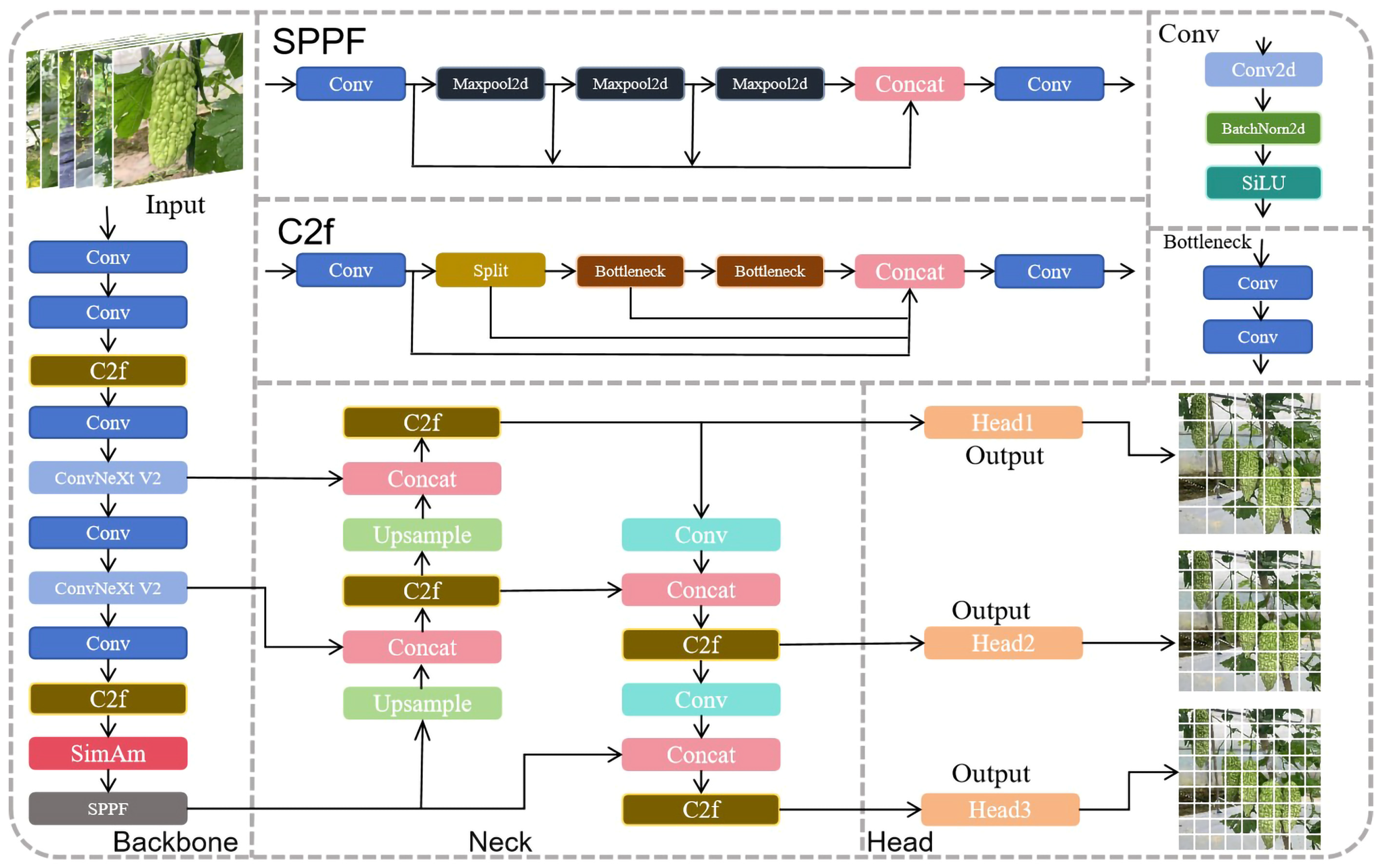 Plants 13 03329 g003