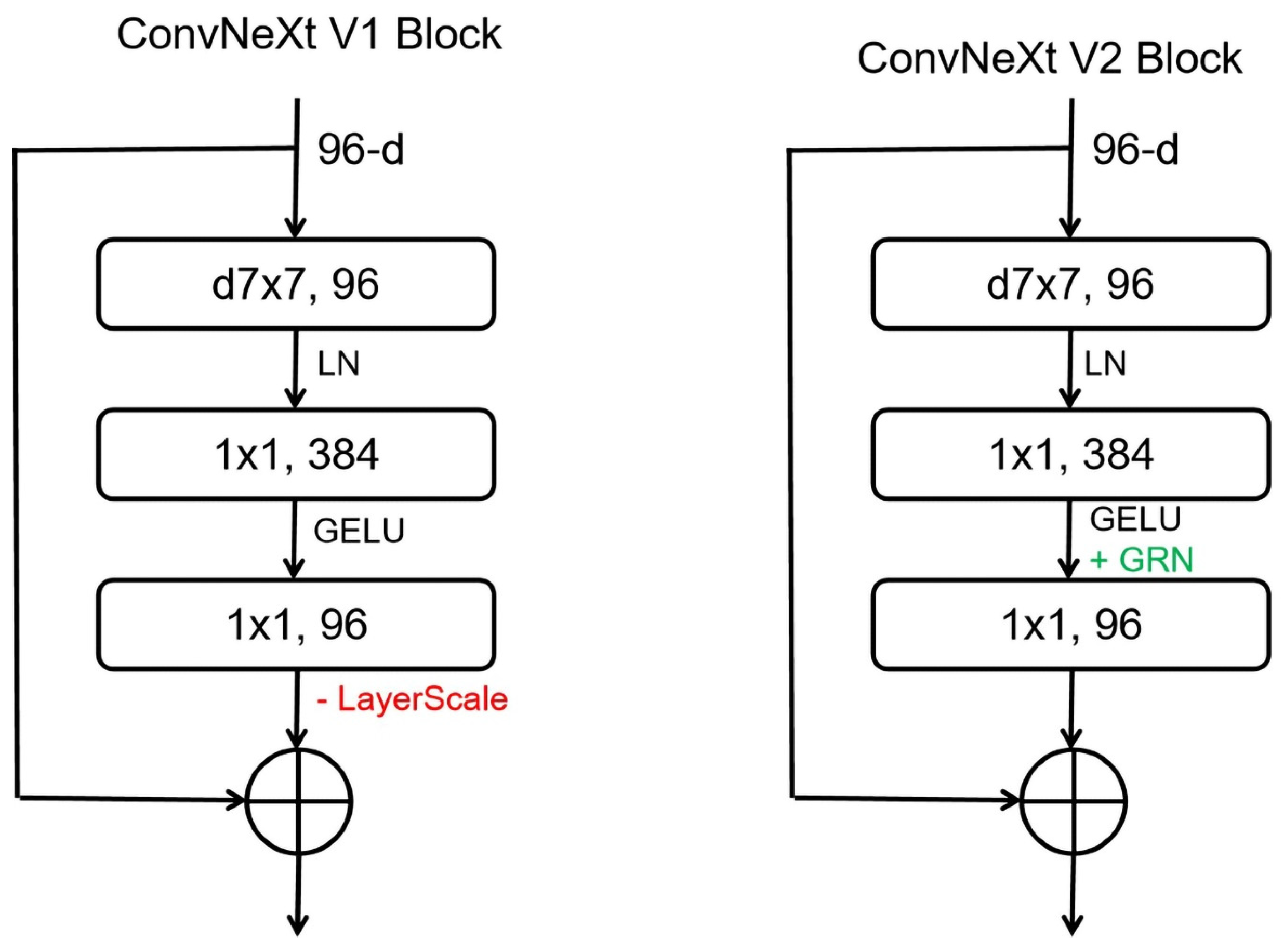Plants 13 03329 g005