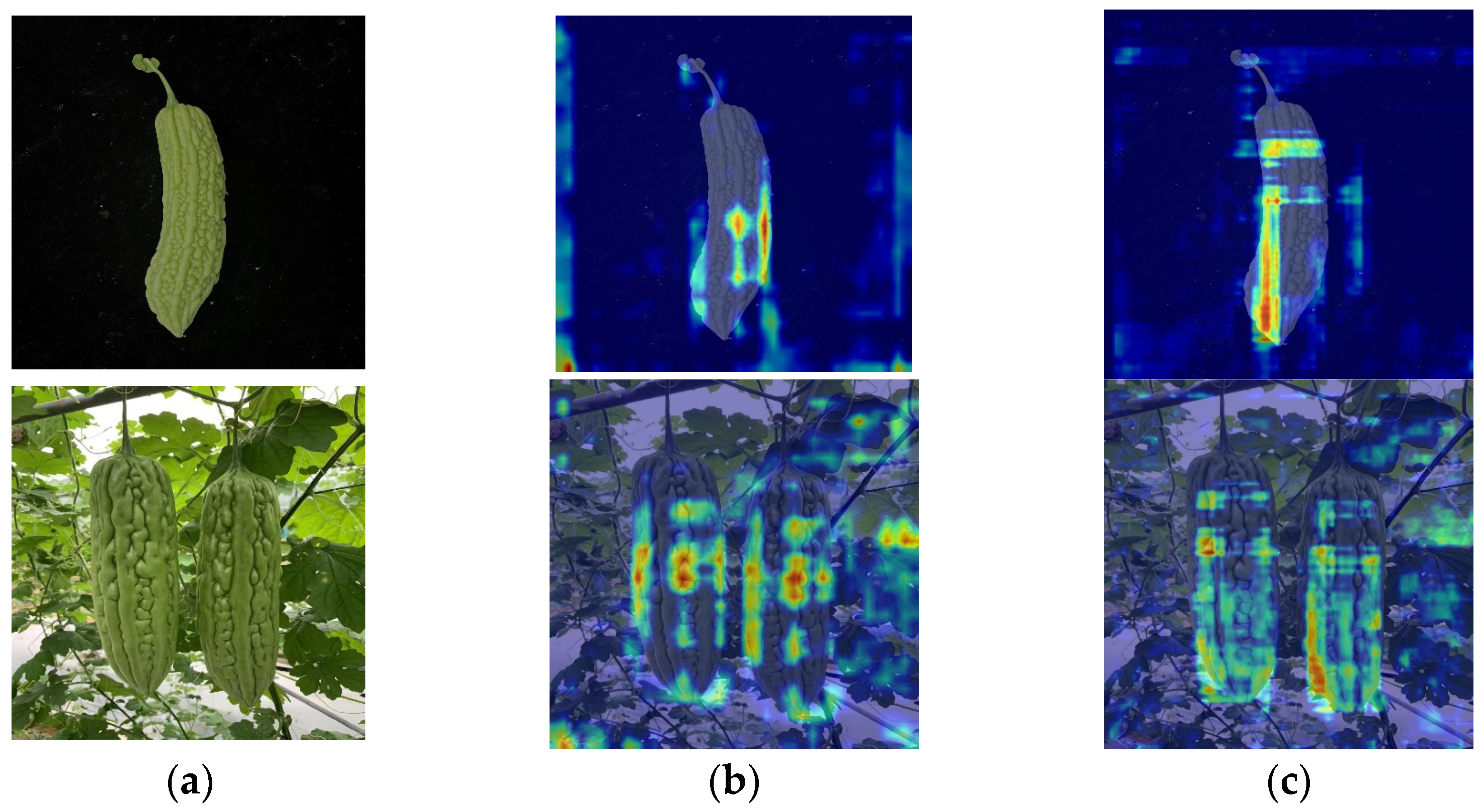 Plants 13 03329 g009