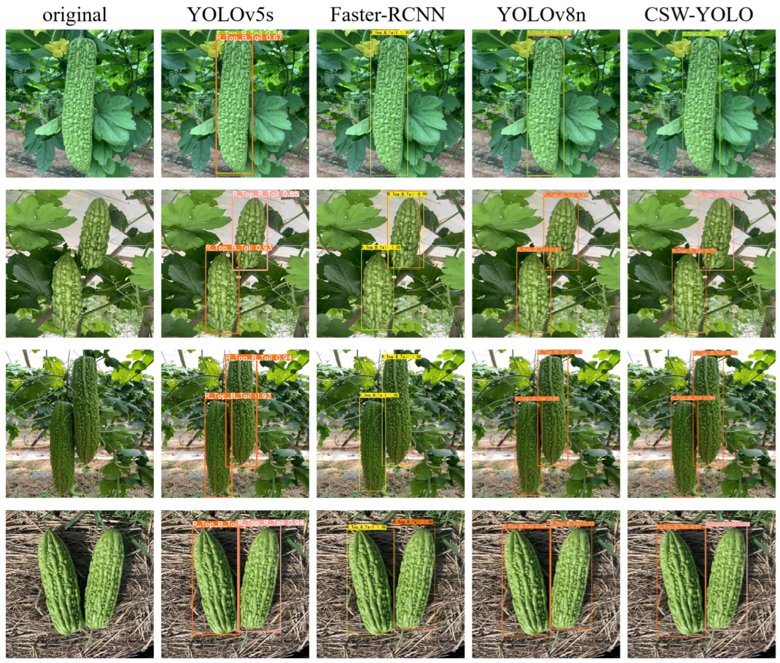 Plants 13 03329 g010