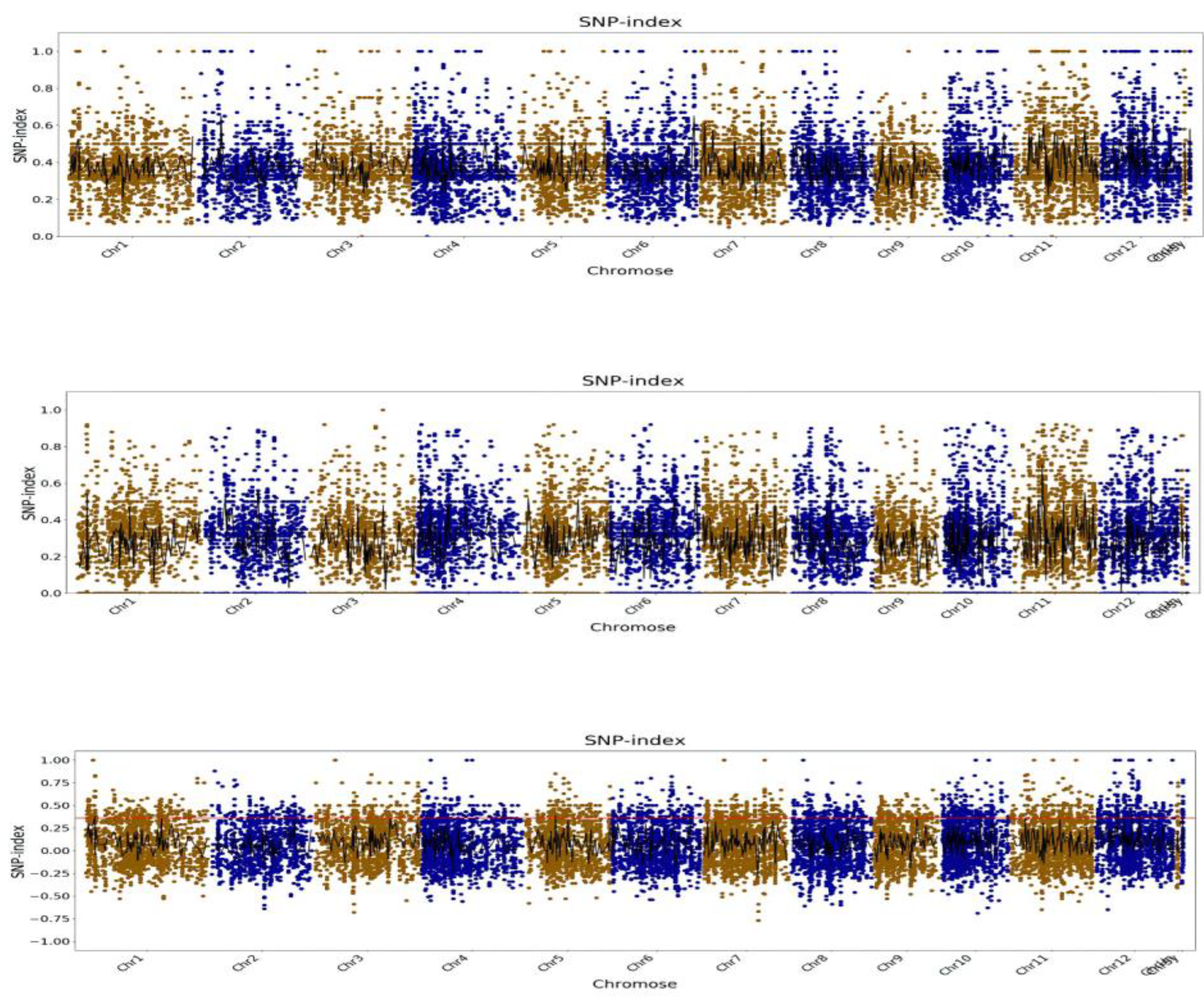 Plants 13 03349 g002