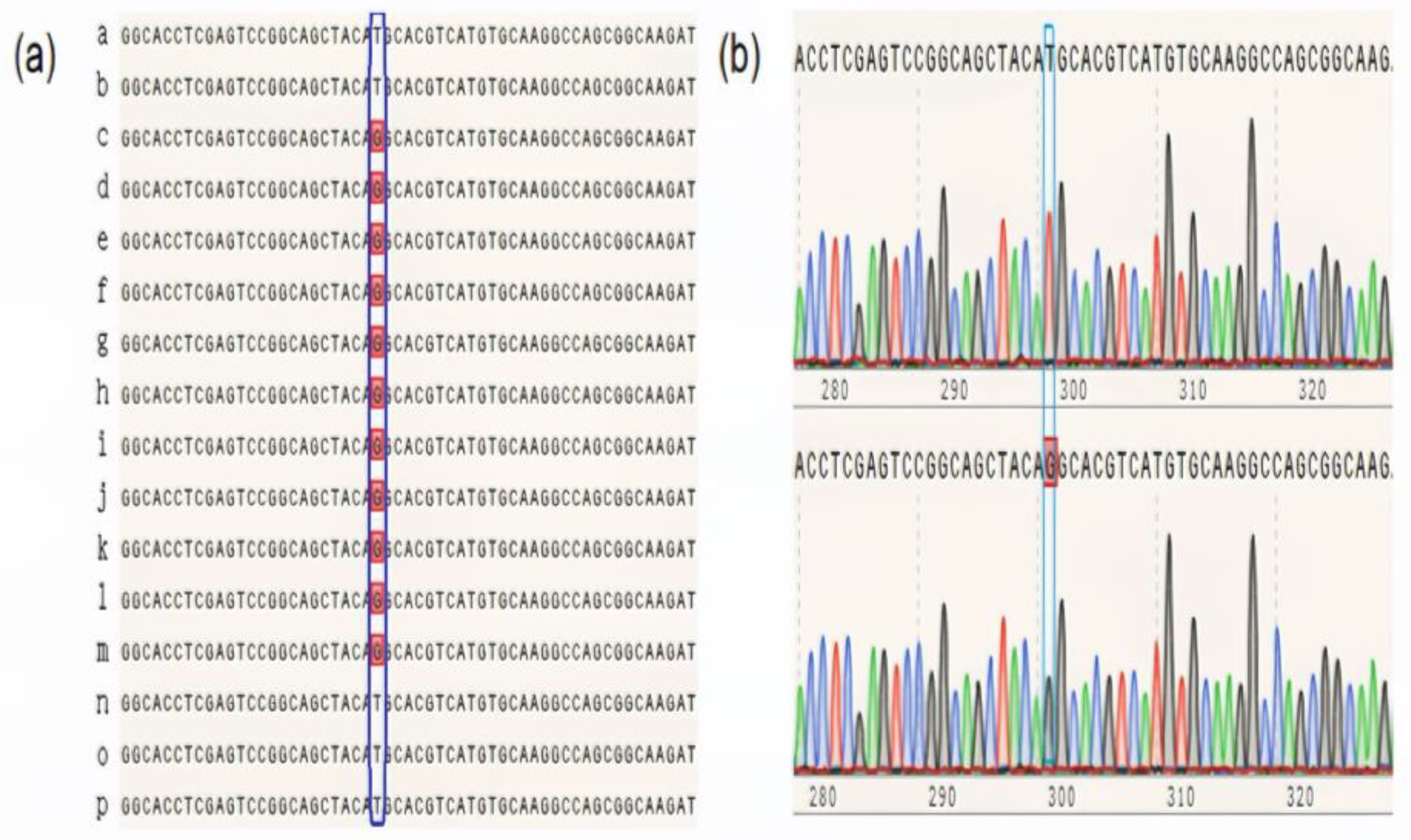 Plants 13 03349 g003