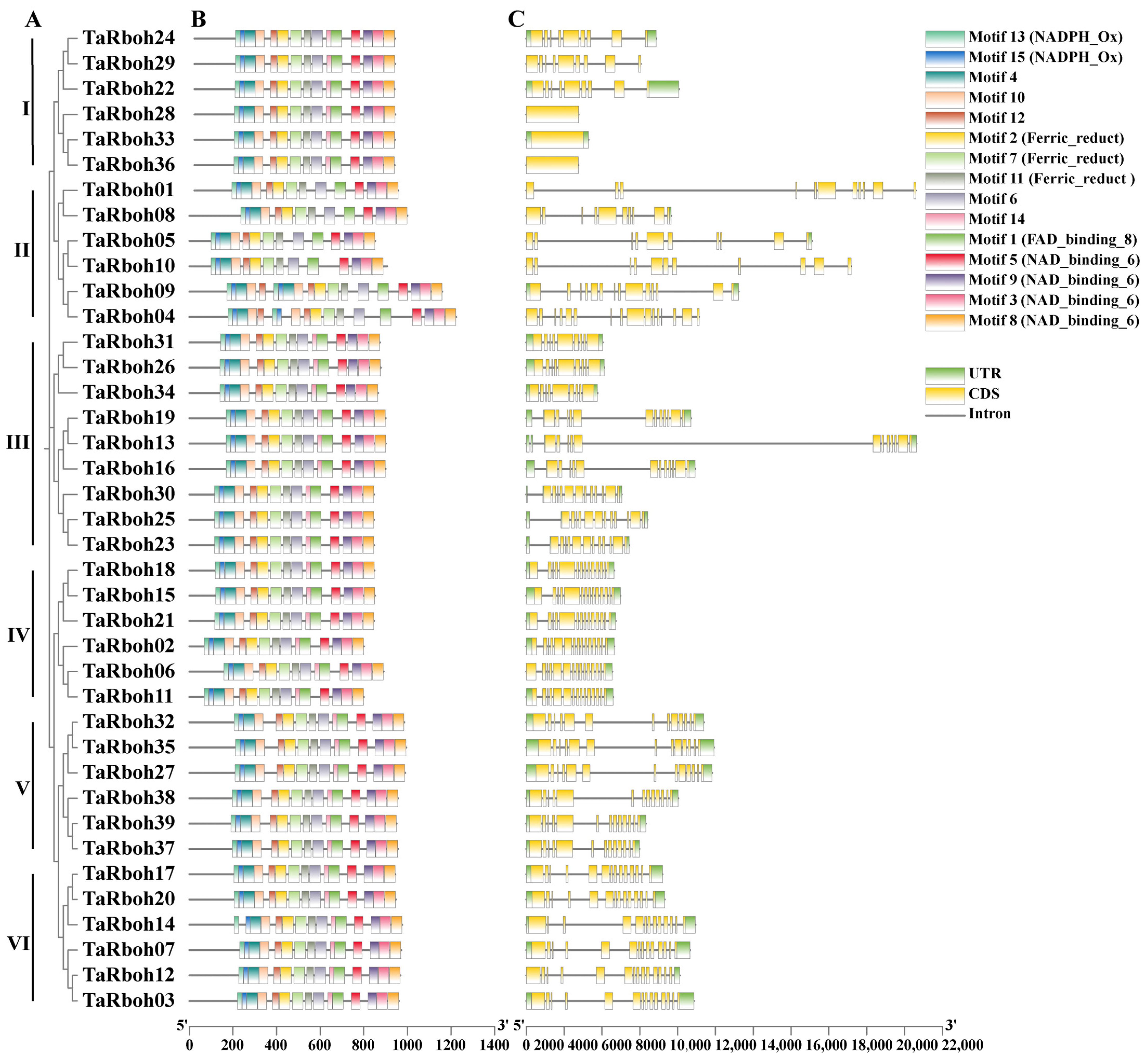 Plants 13 03377 g003