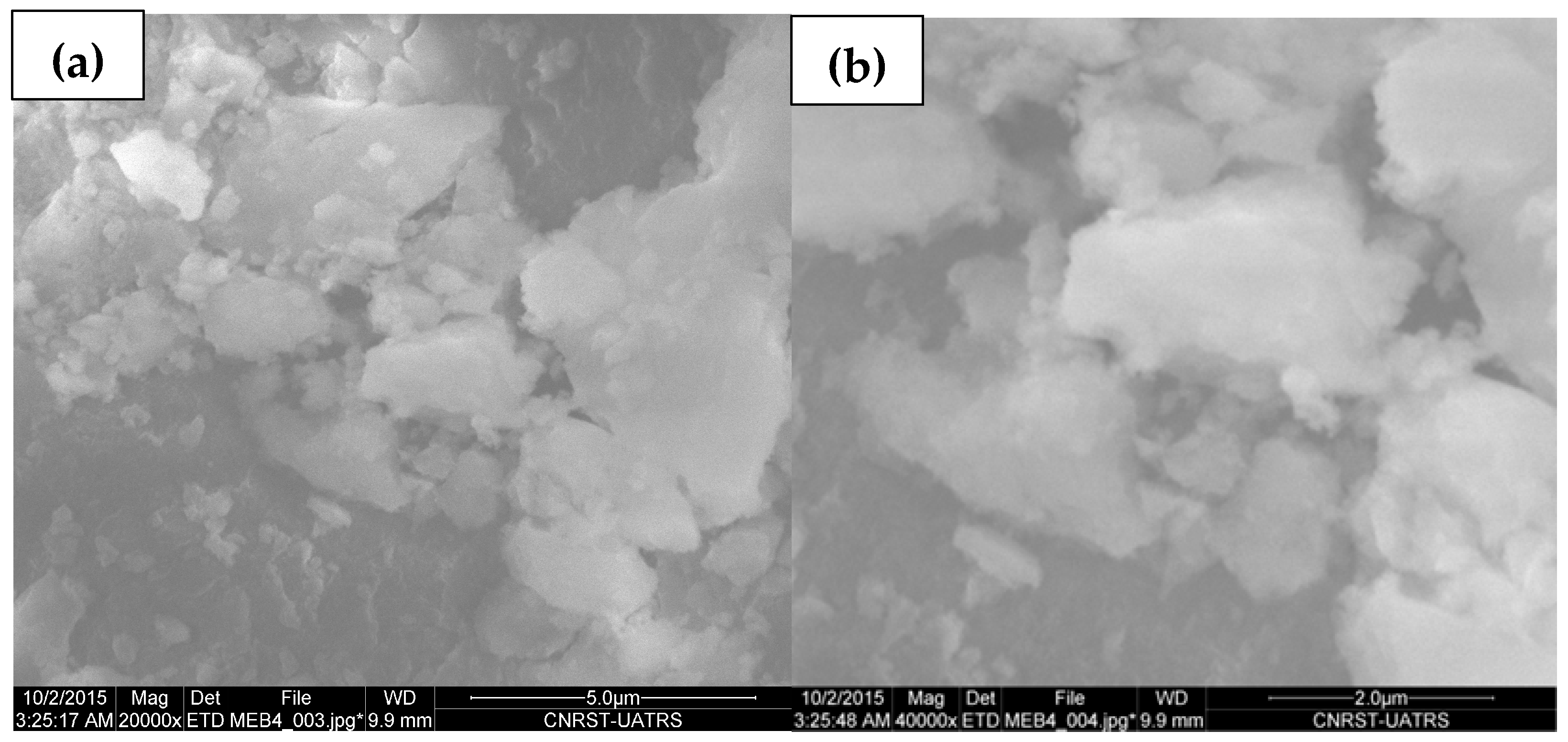 Plants 13 03386 g002