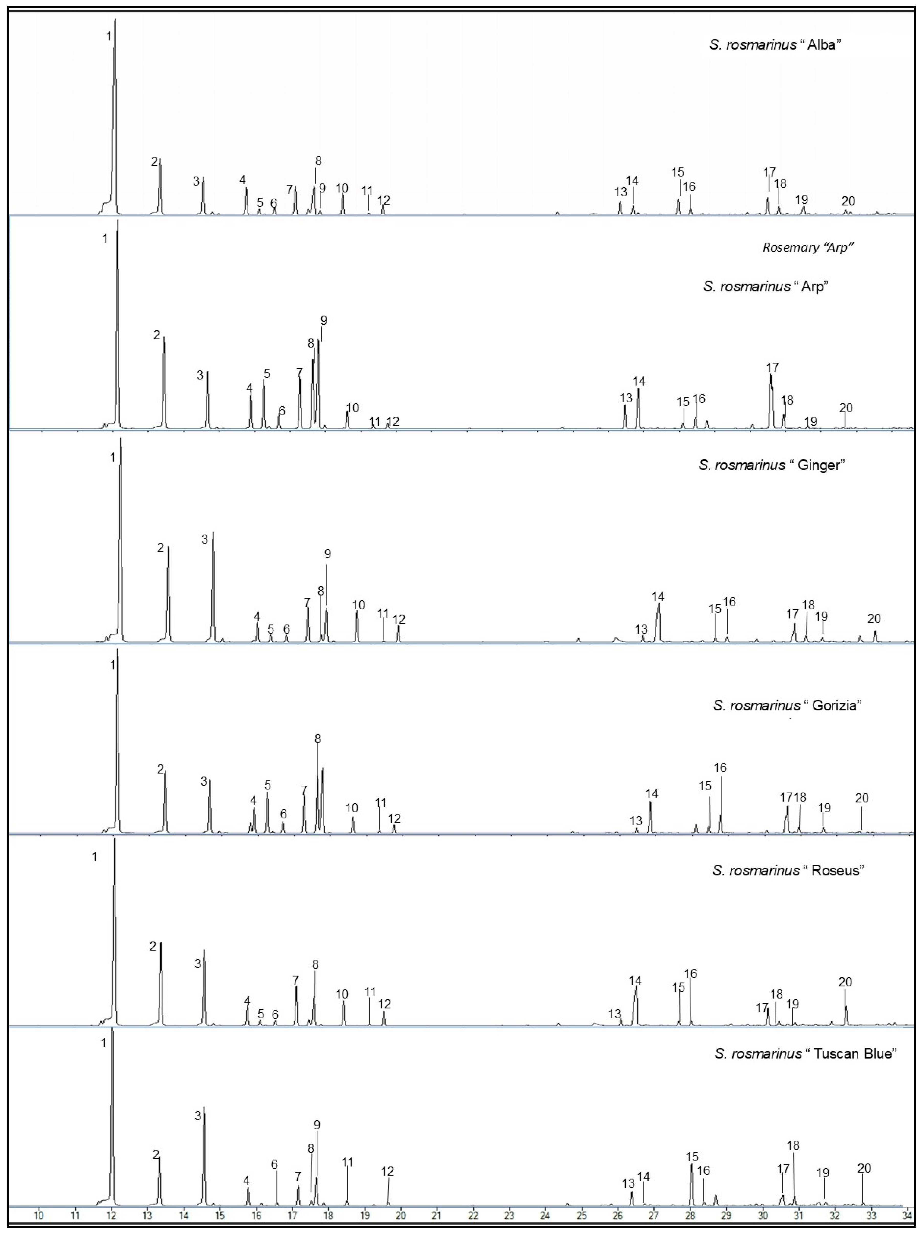 Plants 13 03395 g002