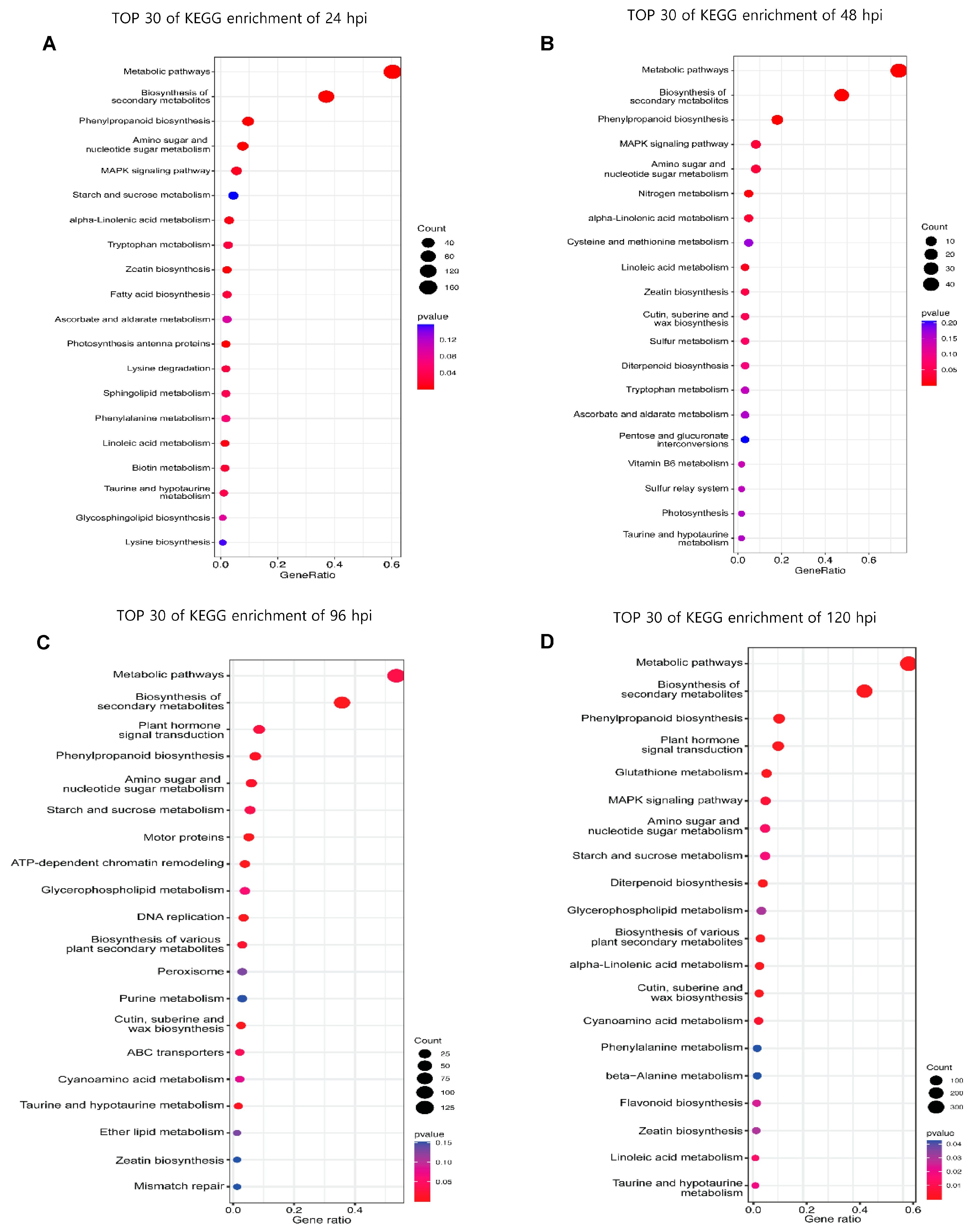 Plants 13 03408 g003
