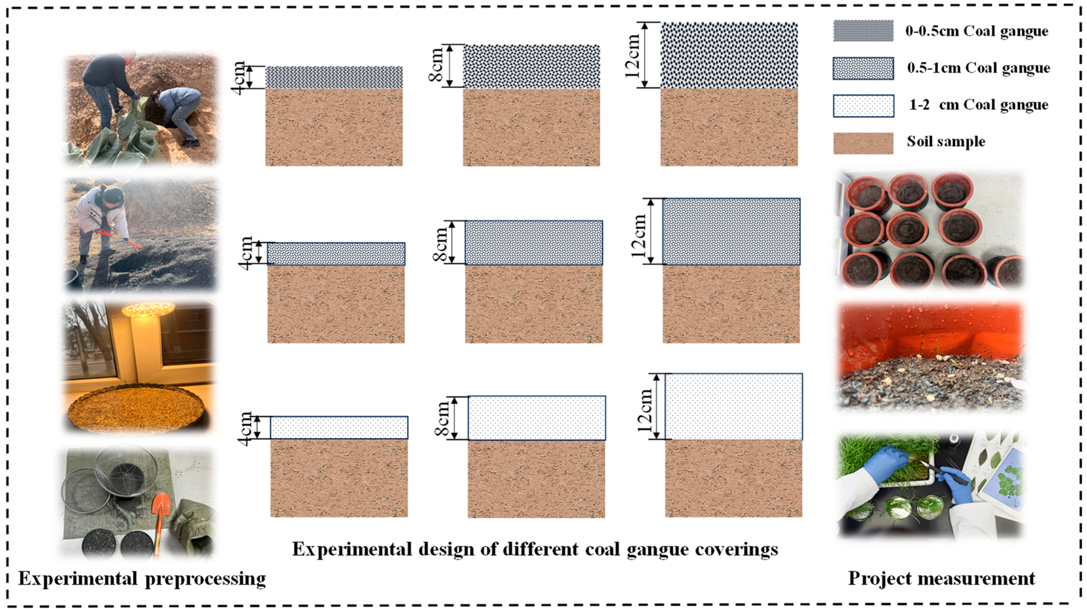 Plants 13 03419 g009