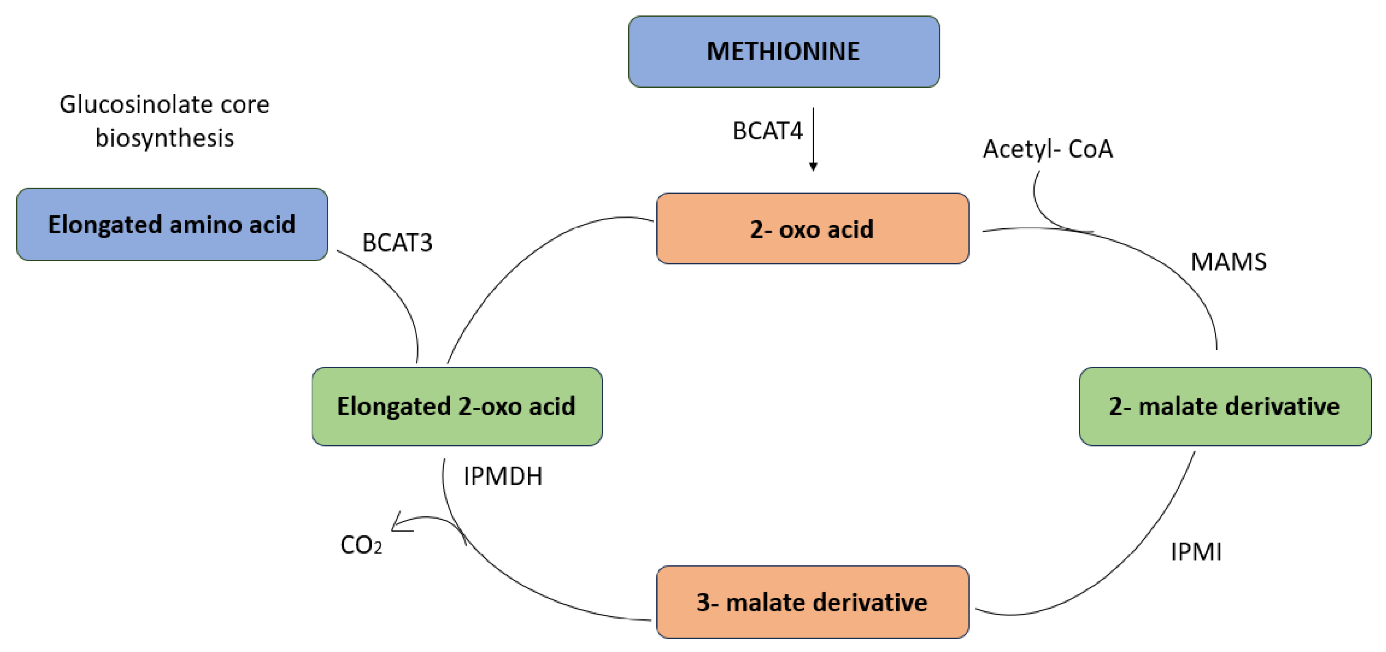 Plants 13 03422 g004 Plants 13 03422 g004