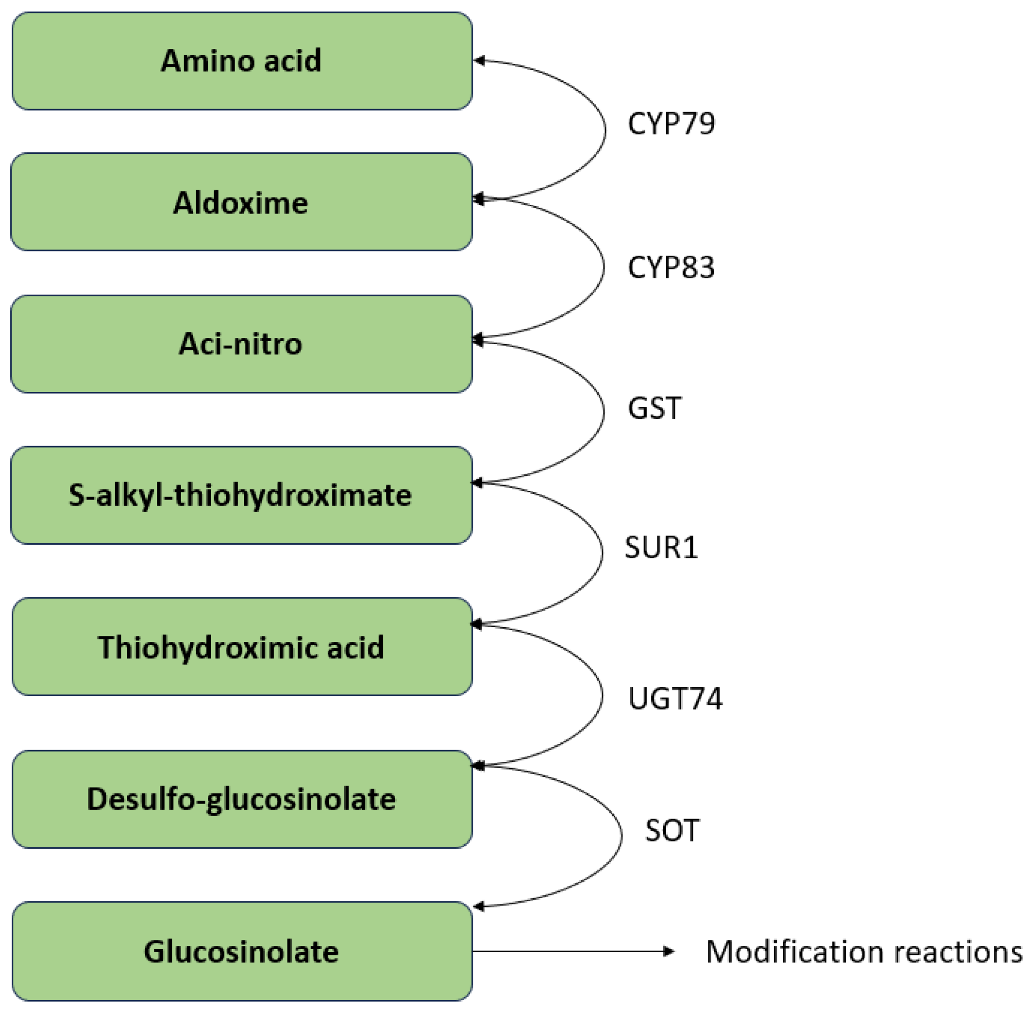 Plants 13 03422 g005 Plants 13 03422 g005