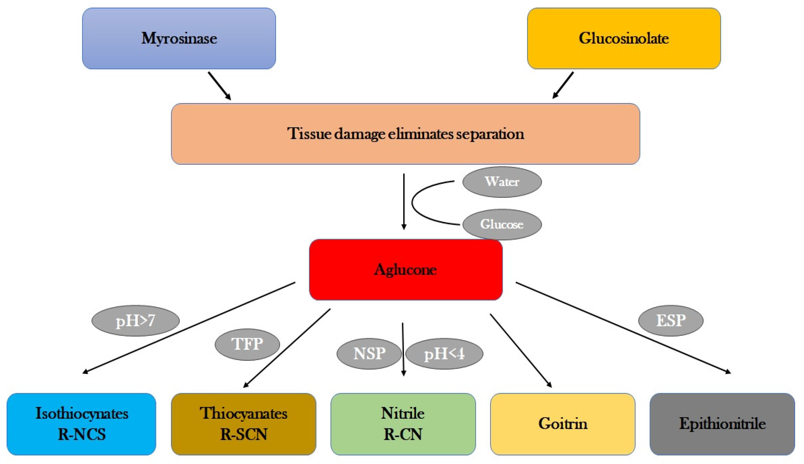 Plants 13 03422 g006 Plants 13 03422 g006