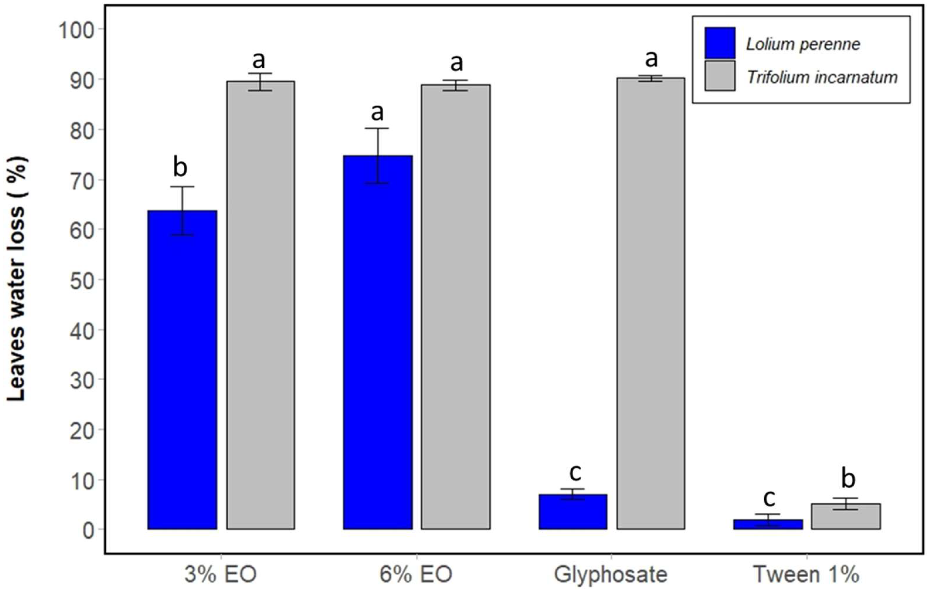 Plants 13 03432 g003