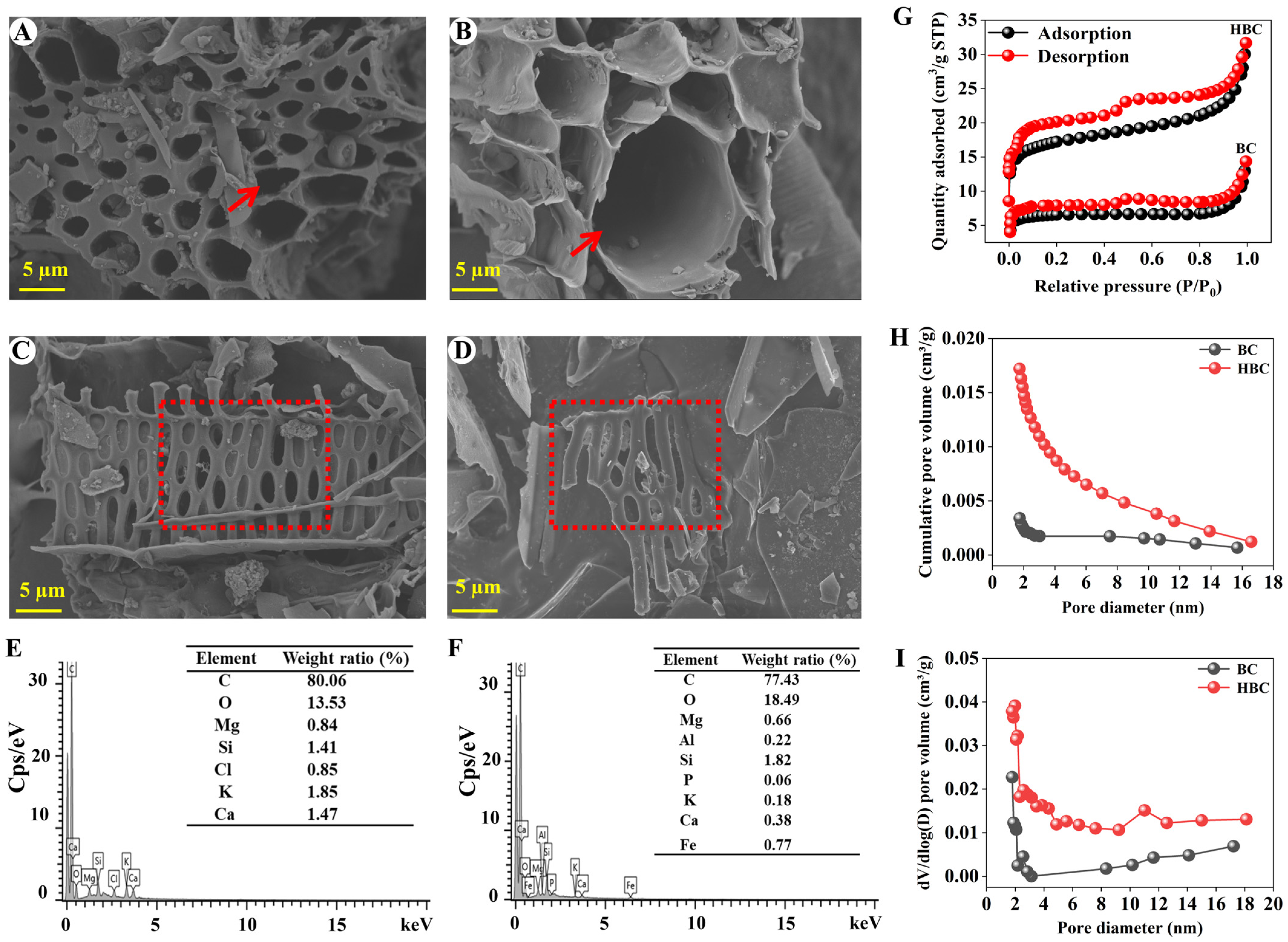 Plants 13 03434 g001 Plants 13 03434 g001
