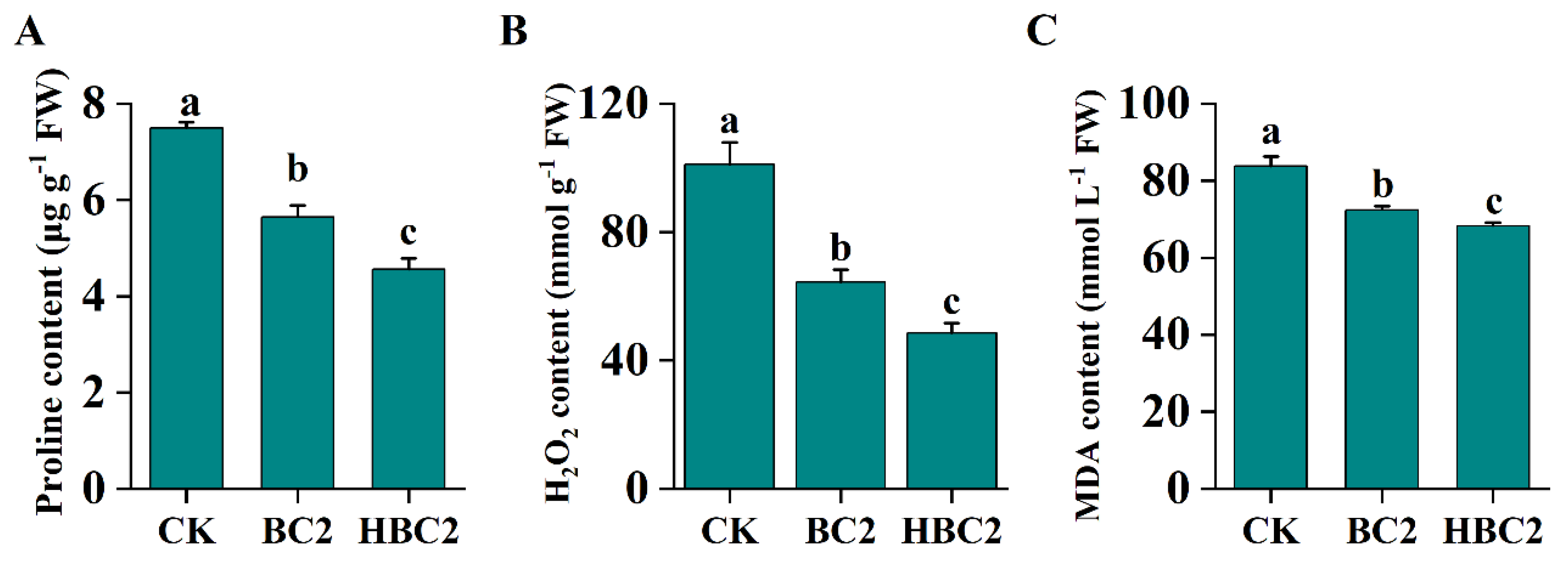 Plants 13 03434 g007 Plants 13 03434 g007