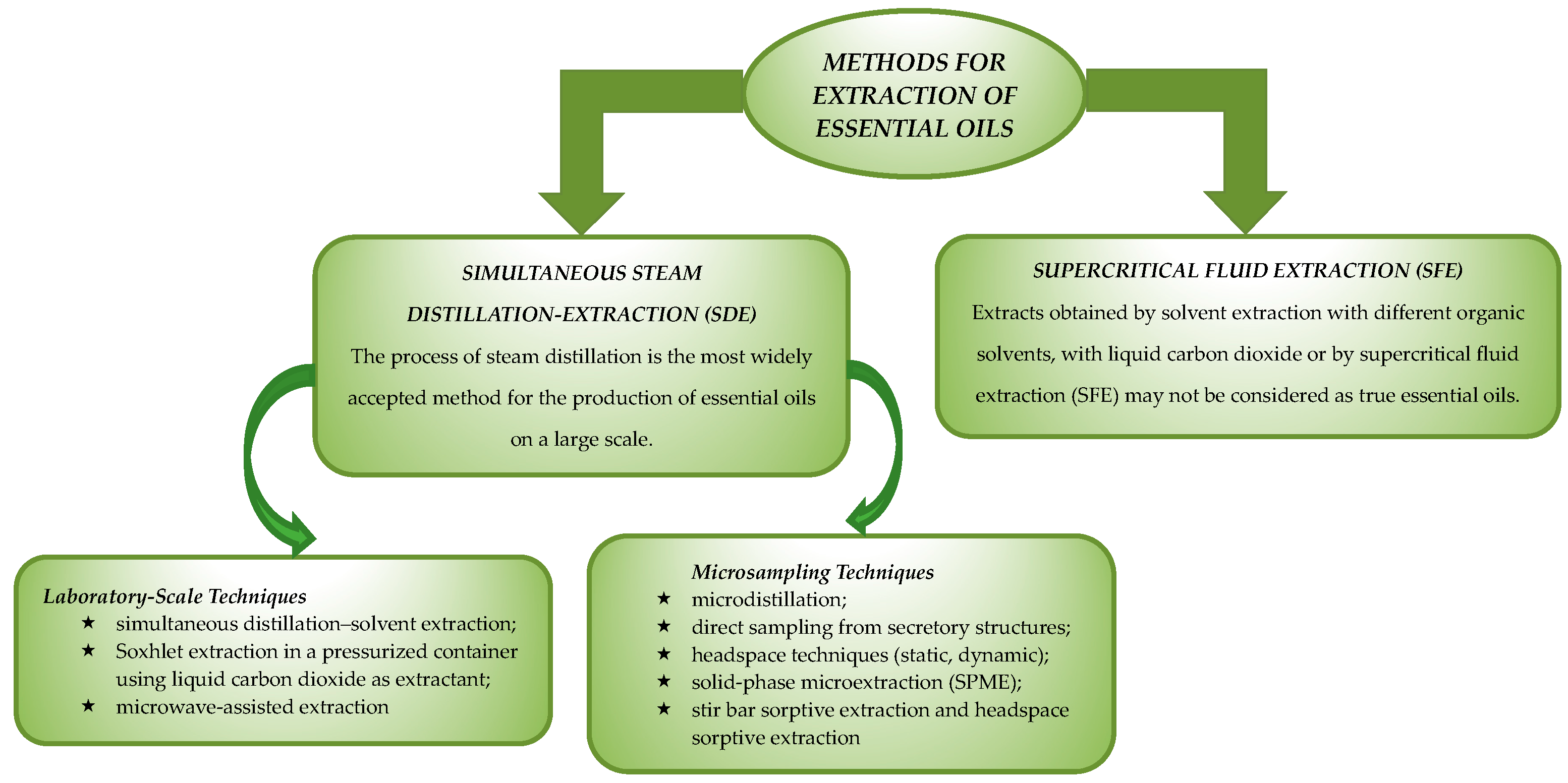 Plants 13 03442 sch001 Plants 13 03442 sch001