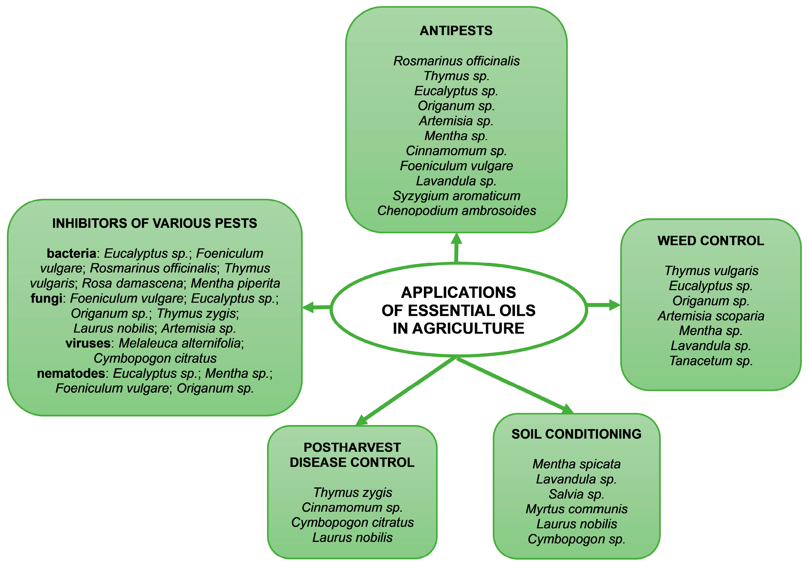 Plants 13 03442 sch002 Plants 13 03442 sch002
