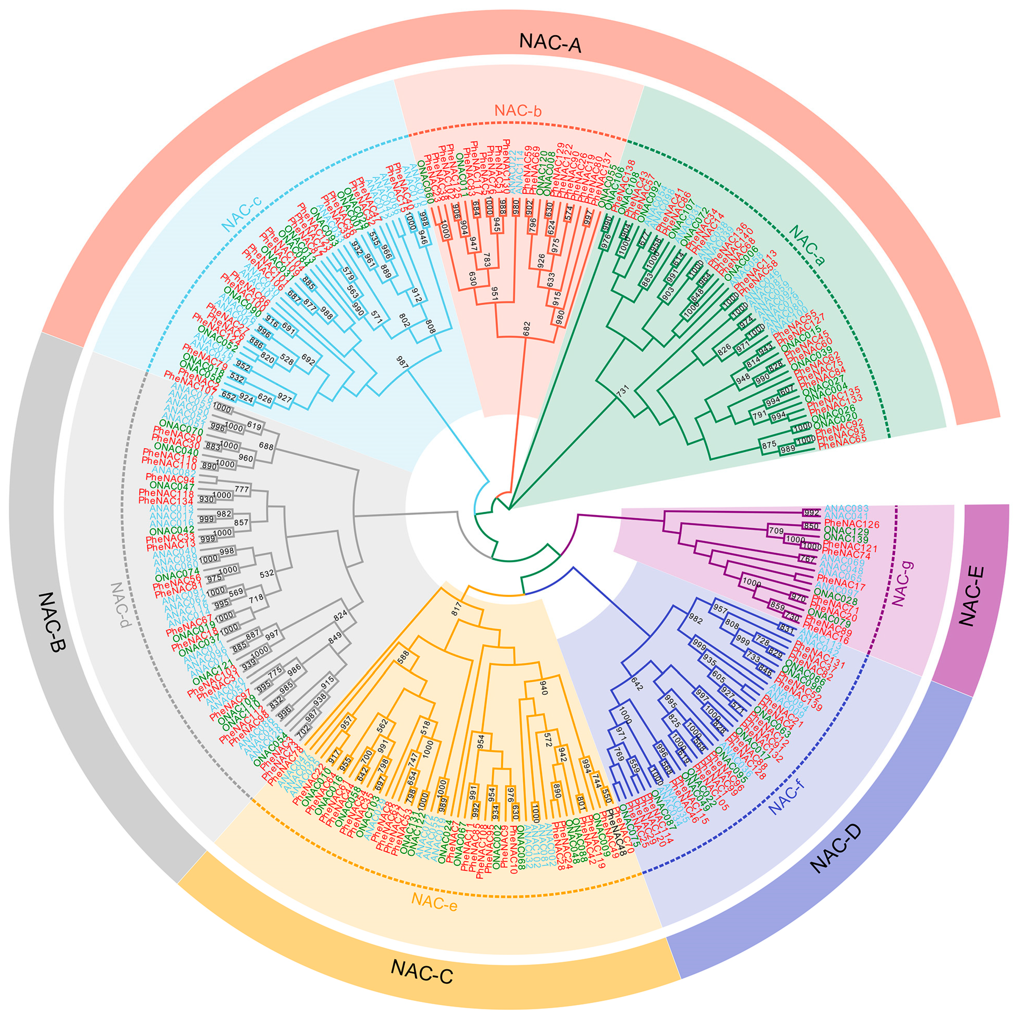 Plants 13 03452 g001