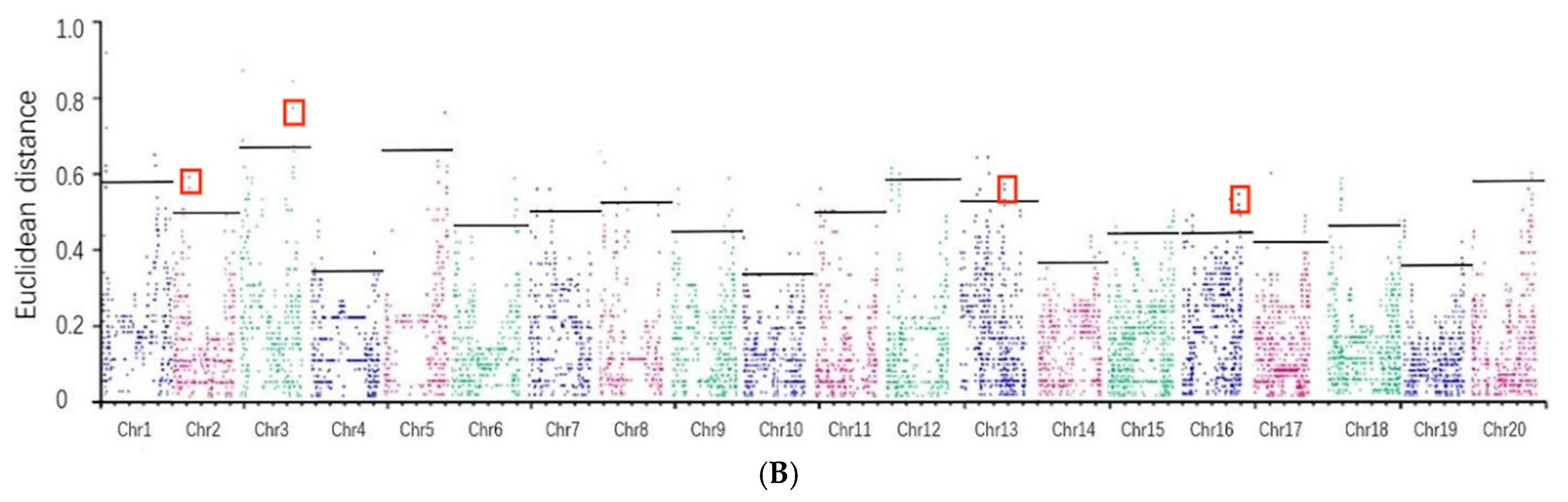 Plants 13 03470 g006b