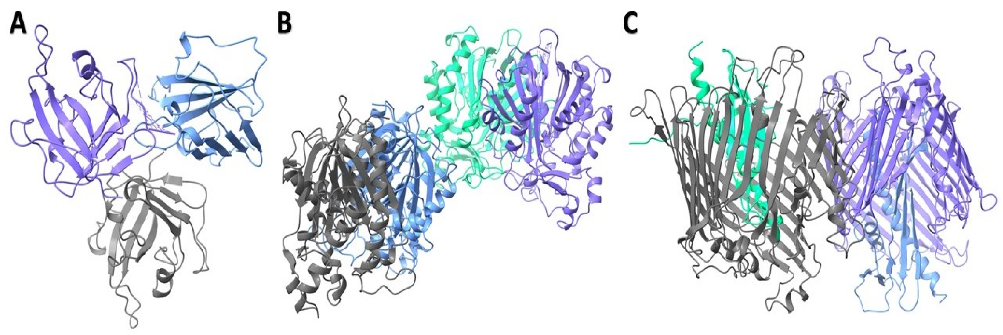 Plants 13 03491 g002 Plants 13 03491 g002