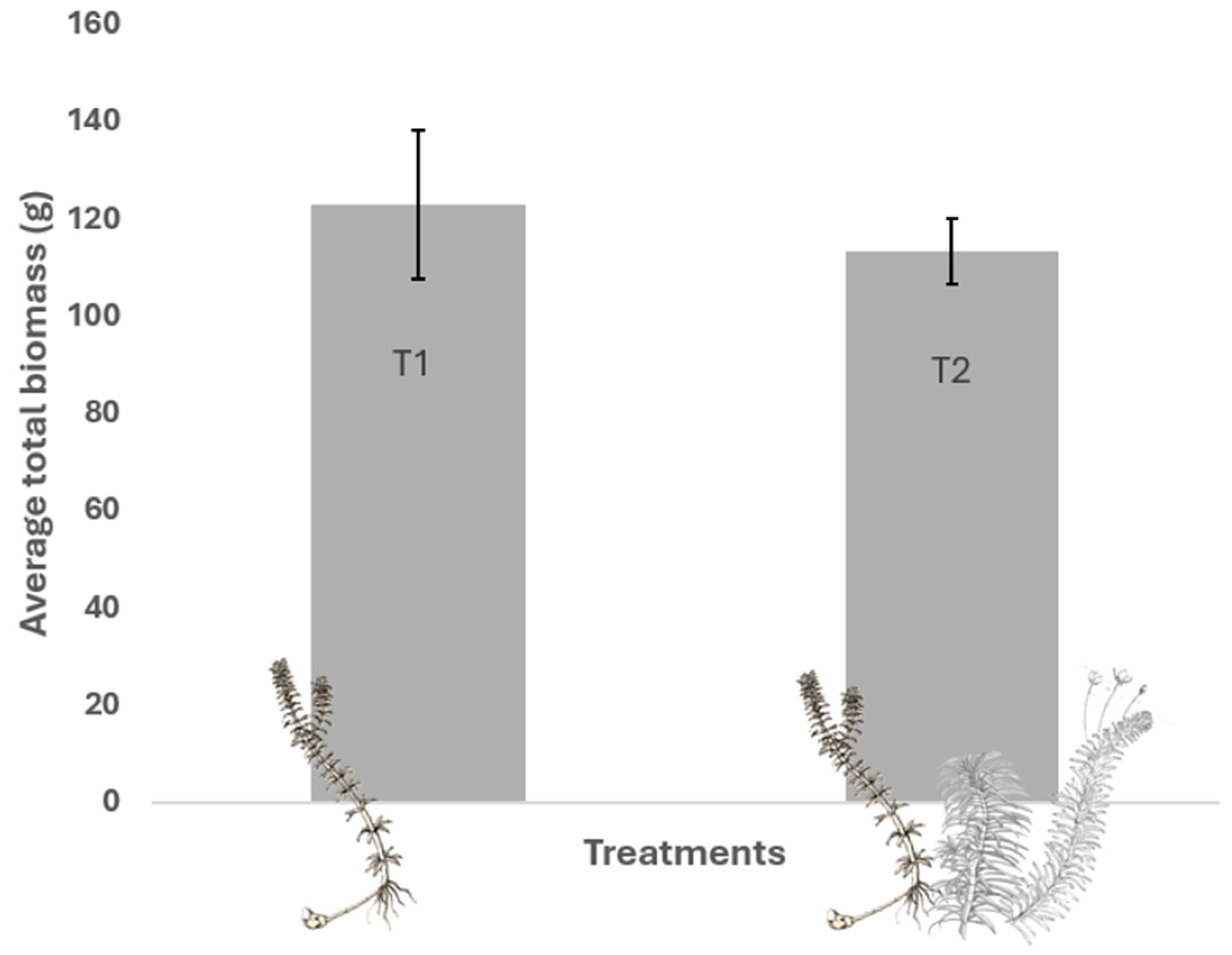 Plants 13 03500 g001