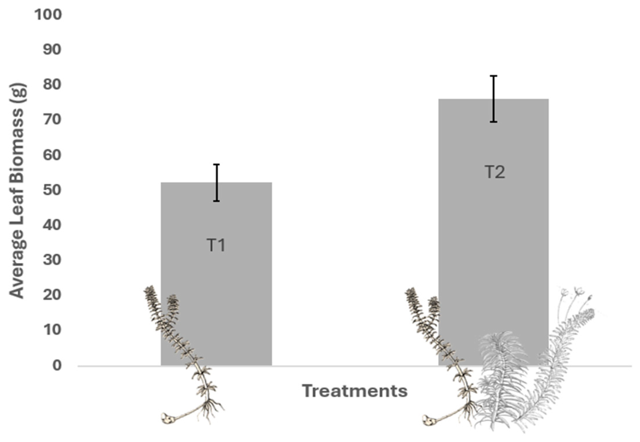 Plants 13 03500 g003