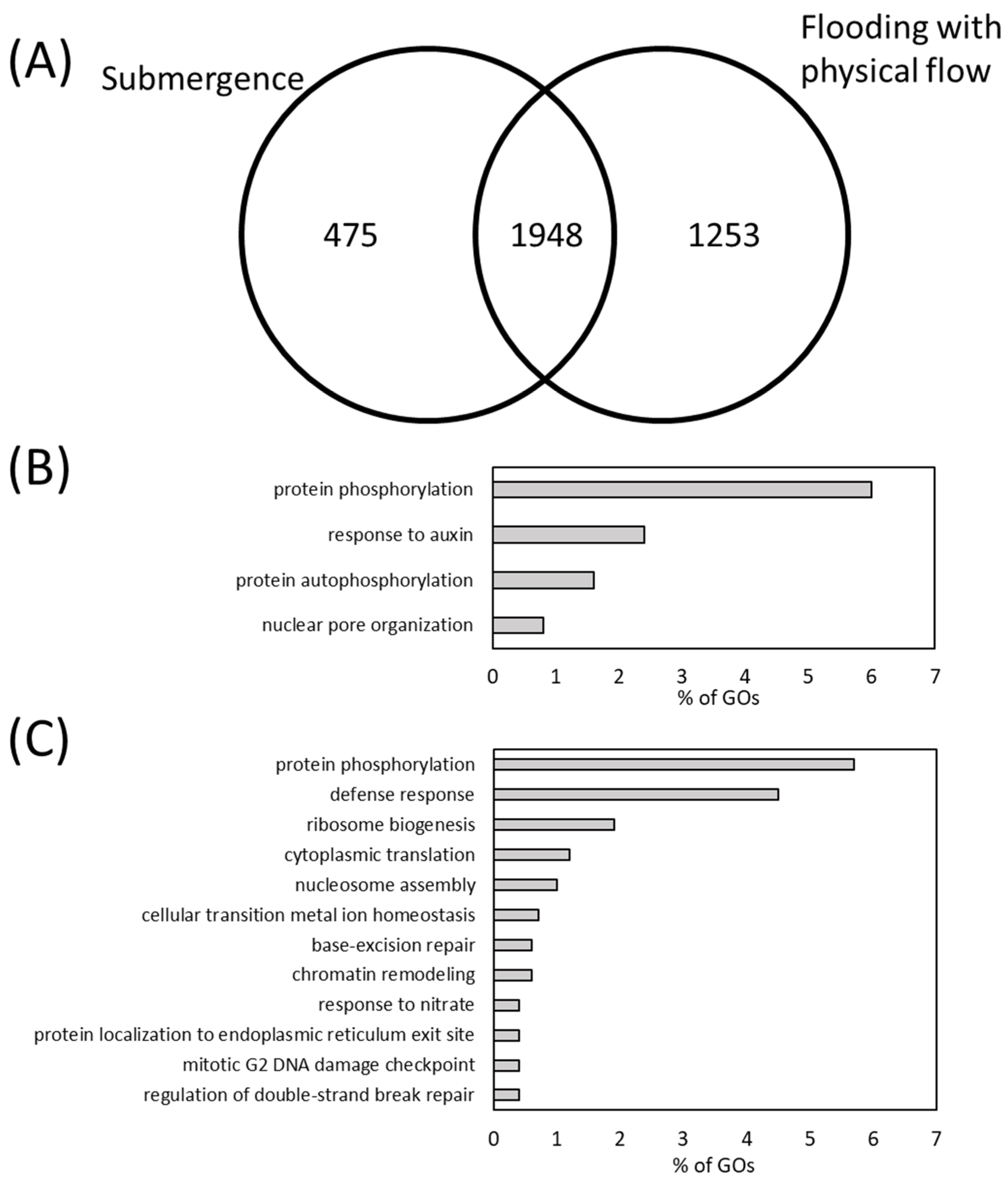 Plants 13 03508 g003