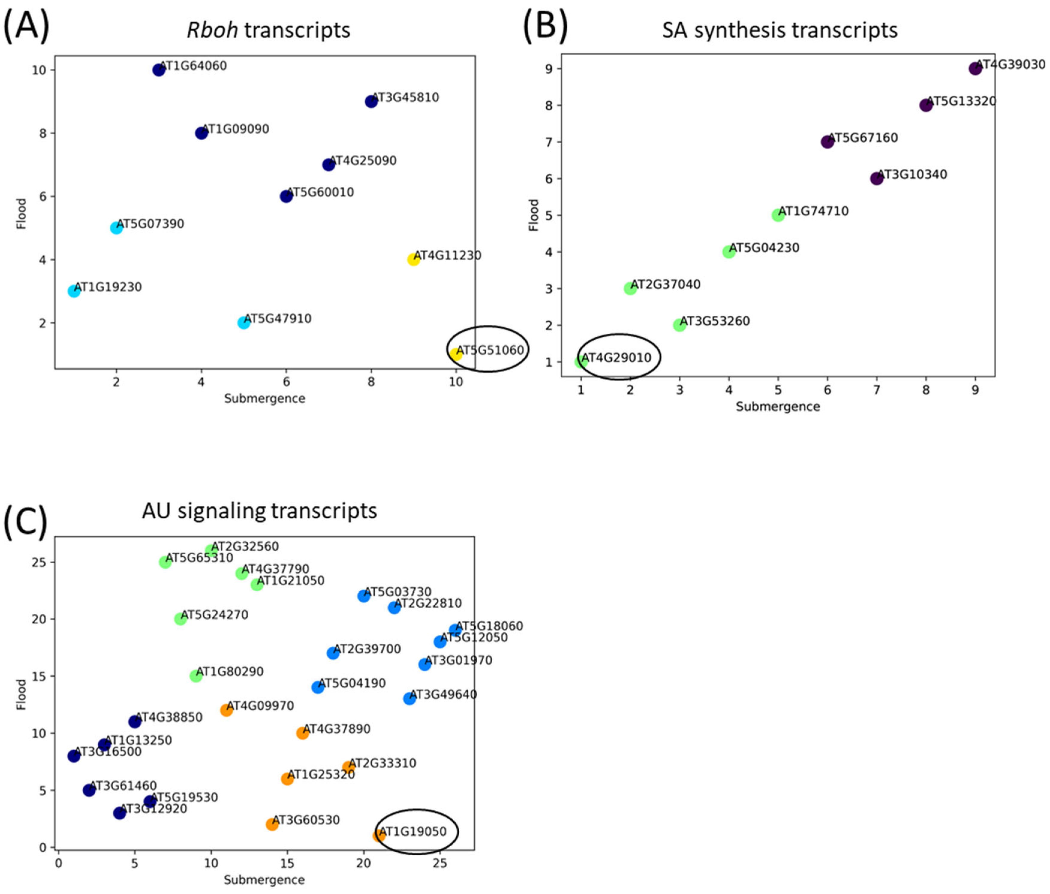 Plants 13 03508 g007
