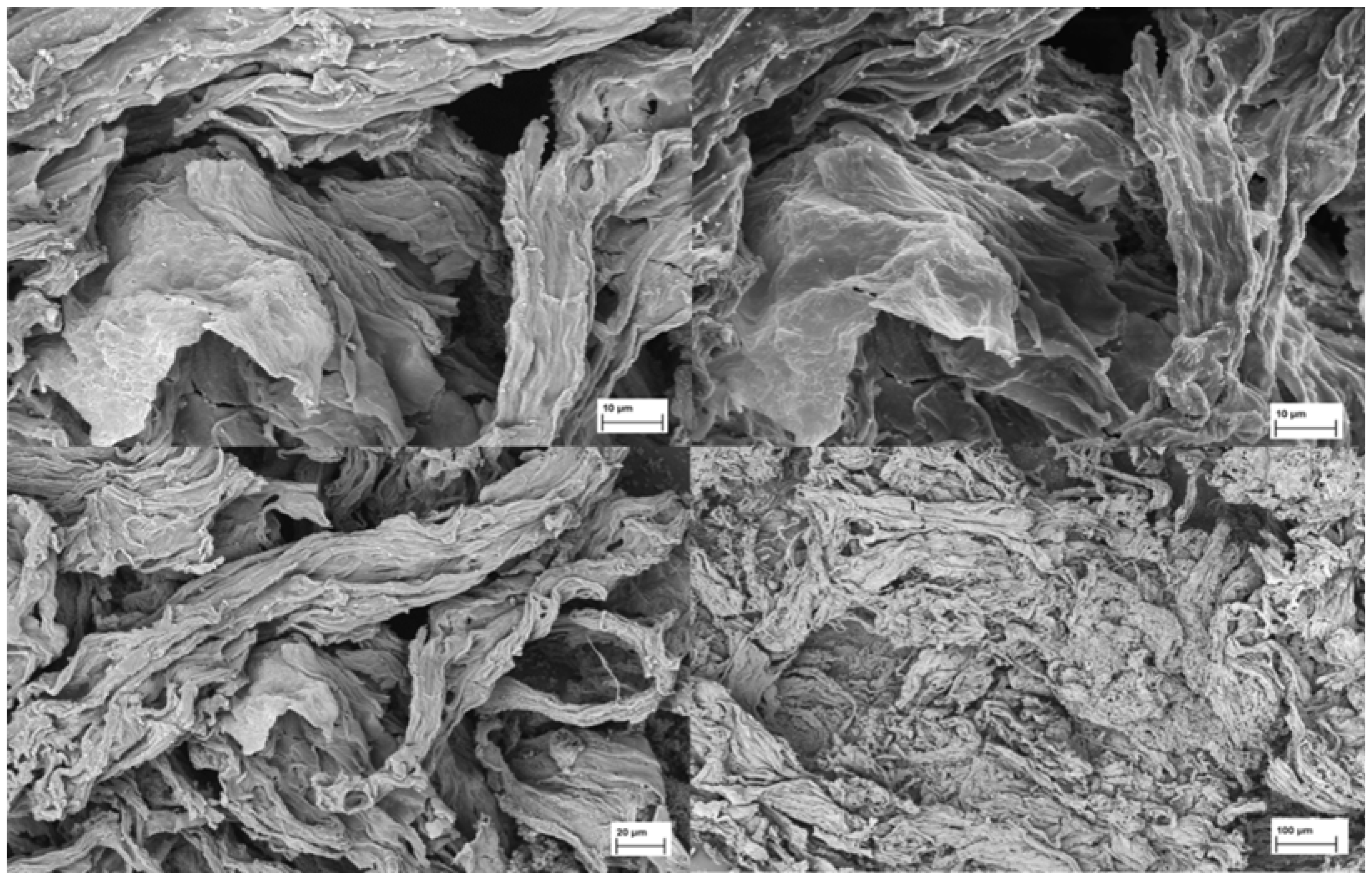 Plants 13 03539 g002