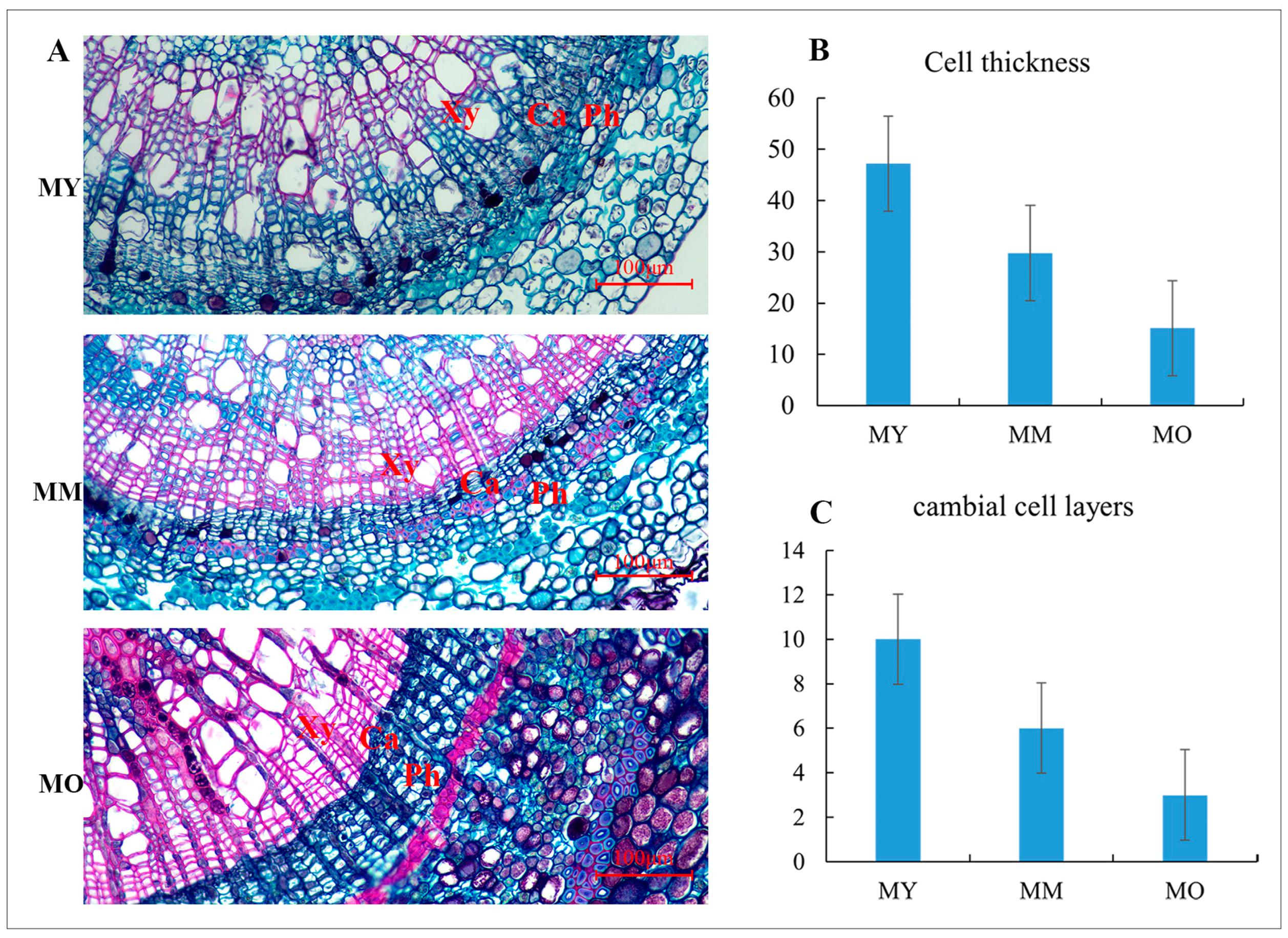 Plants 13 03549 g003 Plants 13 03549 g003