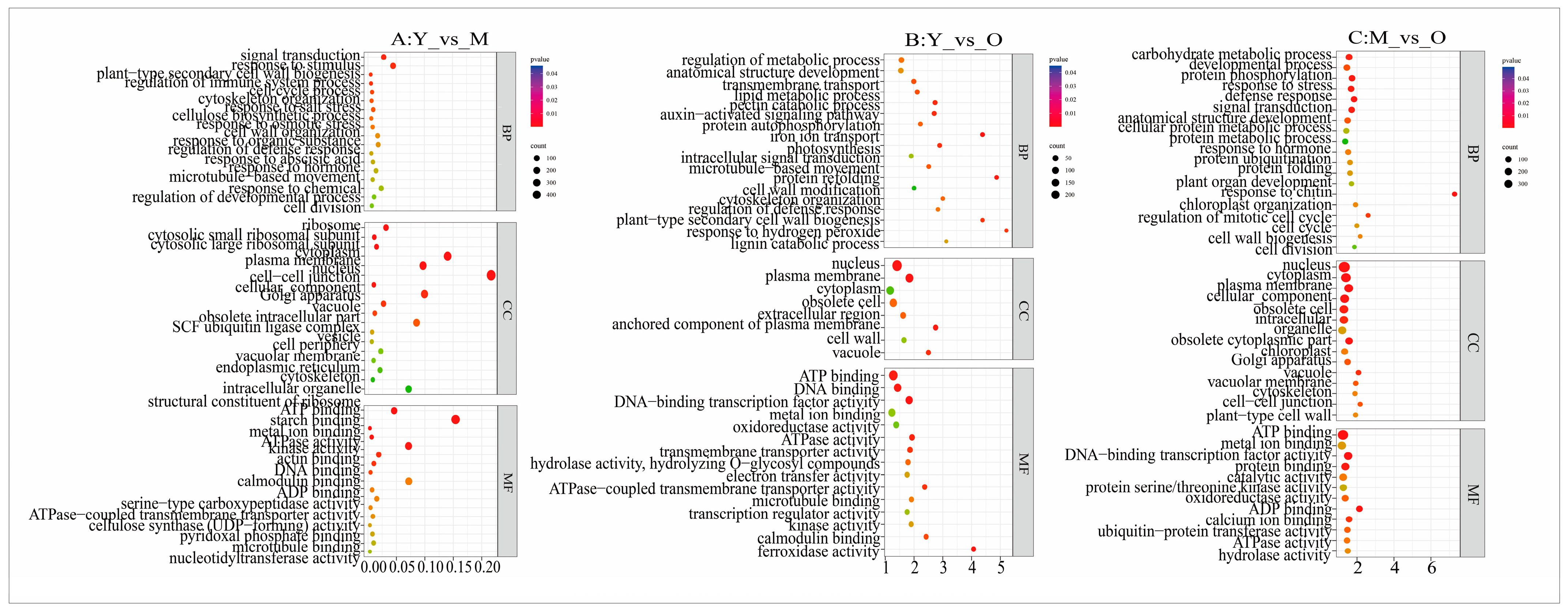 Plants 13 03549 g005 Plants 13 03549 g005