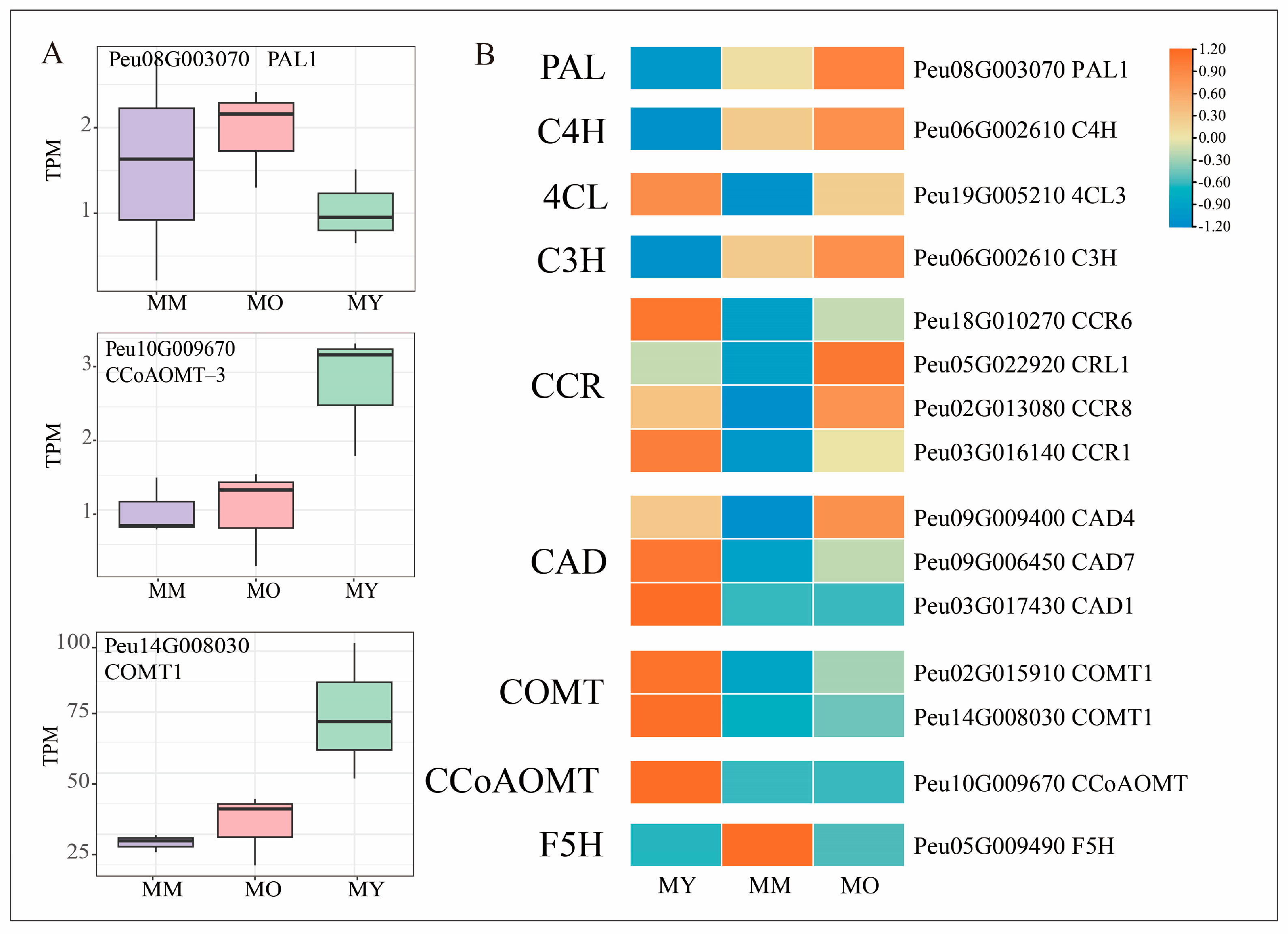 Plants 13 03549 g007 Plants 13 03549 g007