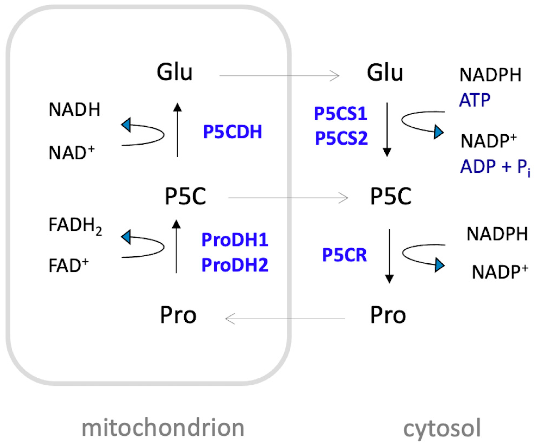 Plants 14 00002 g002