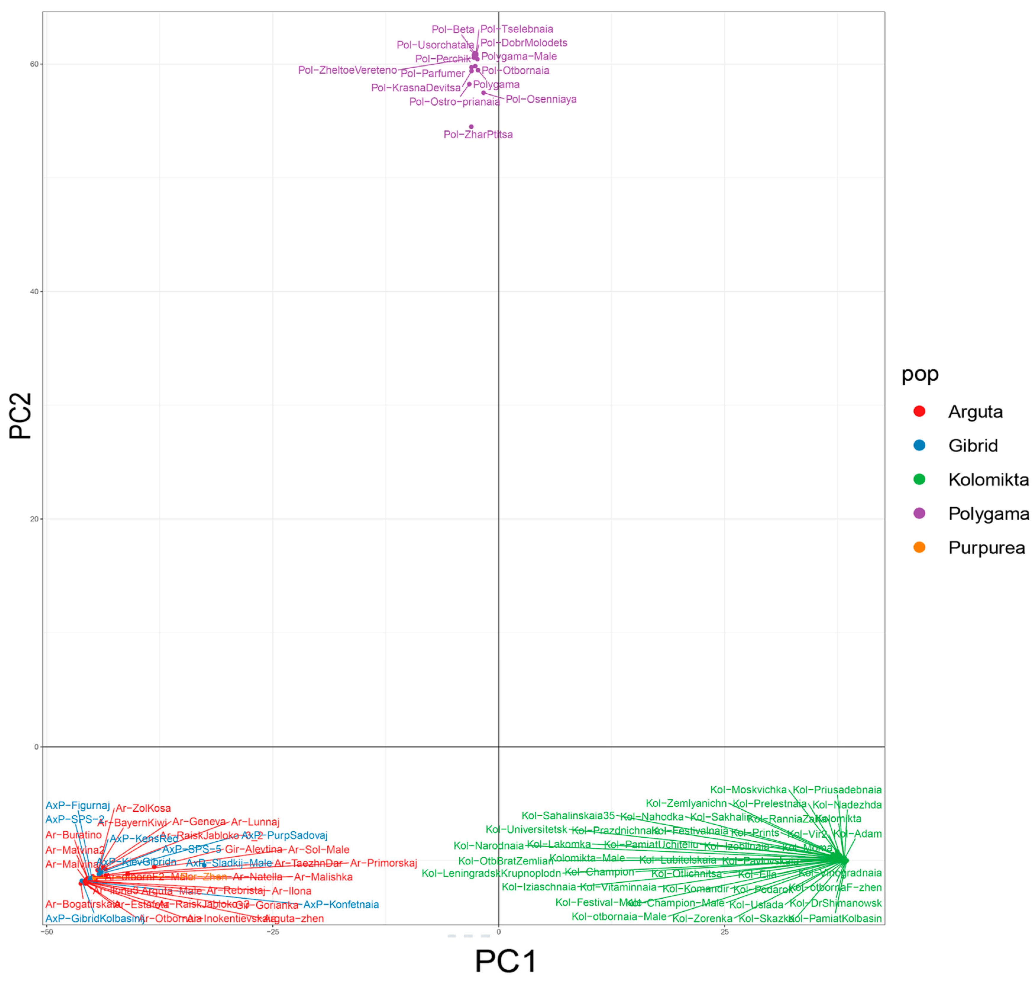 Plants 14 00007 g001
