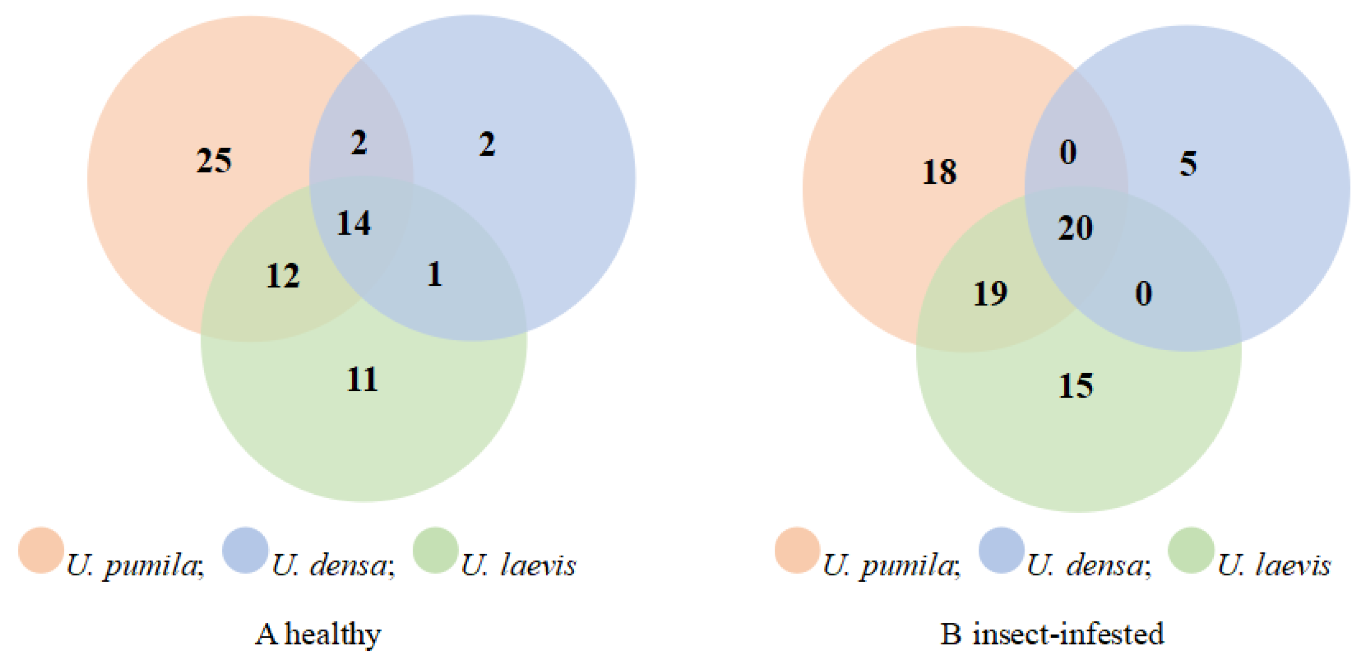 Plants 14 00042 g003