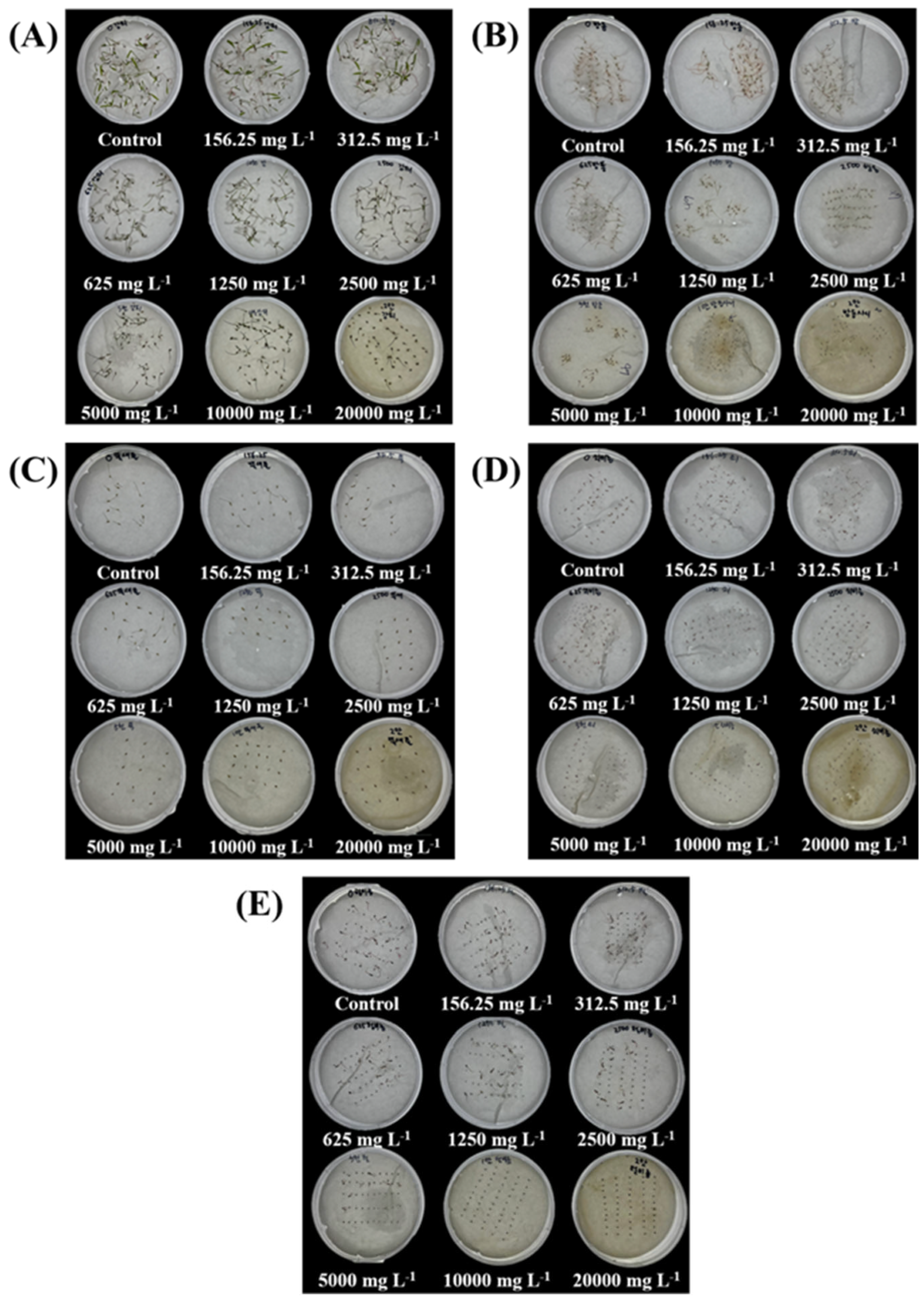 Plants 14 00096 g008 Plants 14 00096 g008