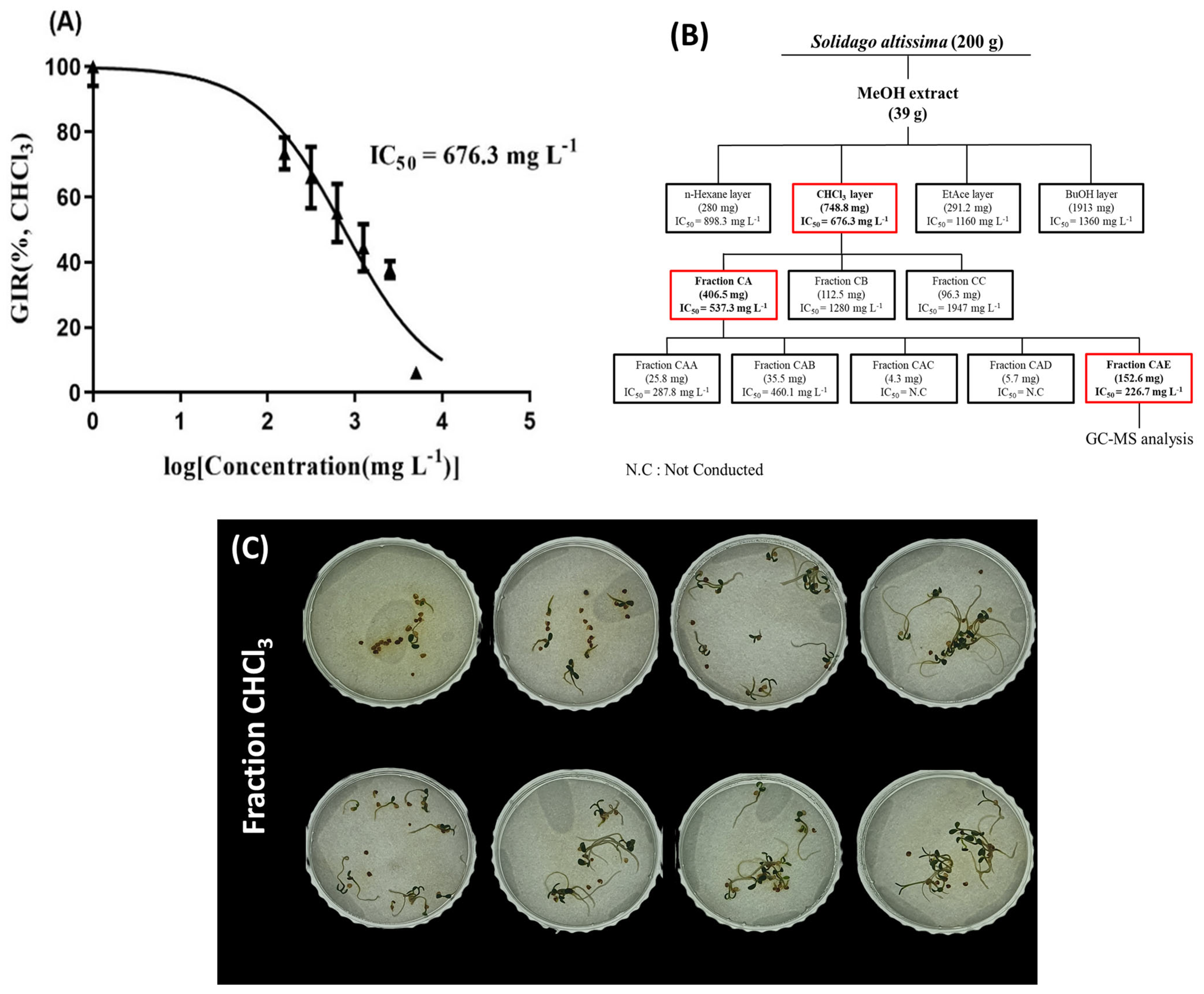 Plants 14 00096 g009 Plants 14 00096 g009