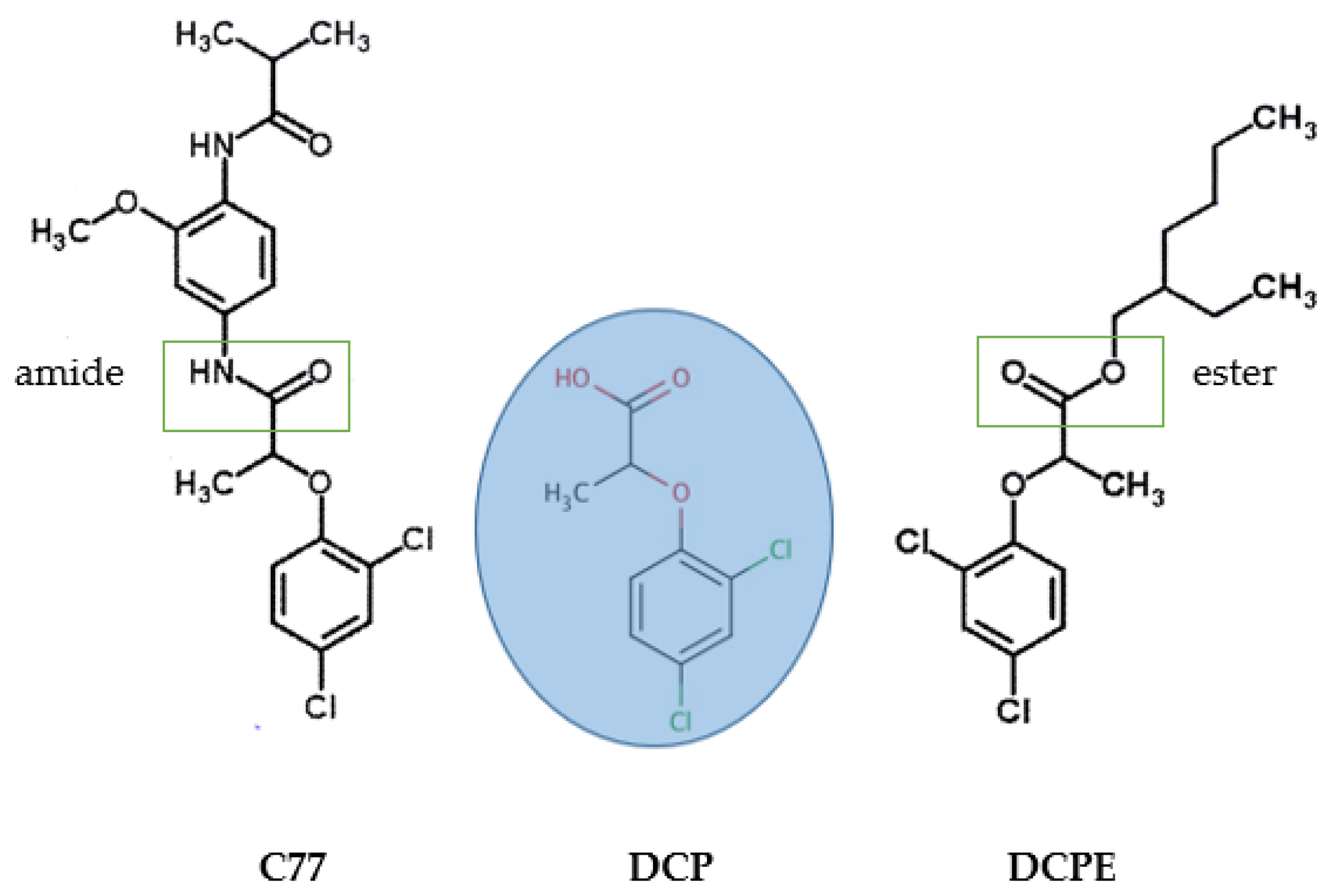 Plants 14 00108 g001 Plants 14 00108 g001