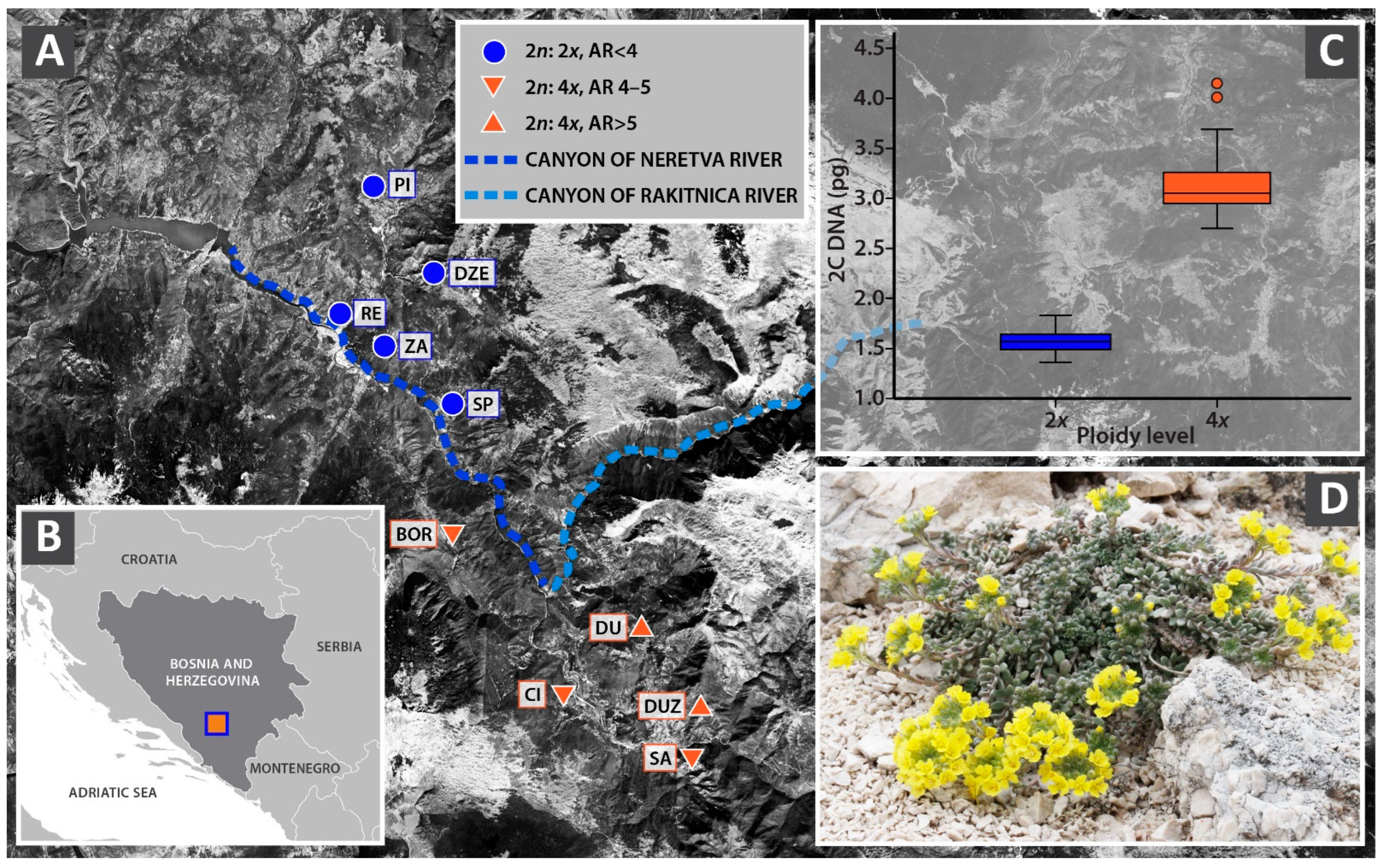 Plants 14 00146 g001