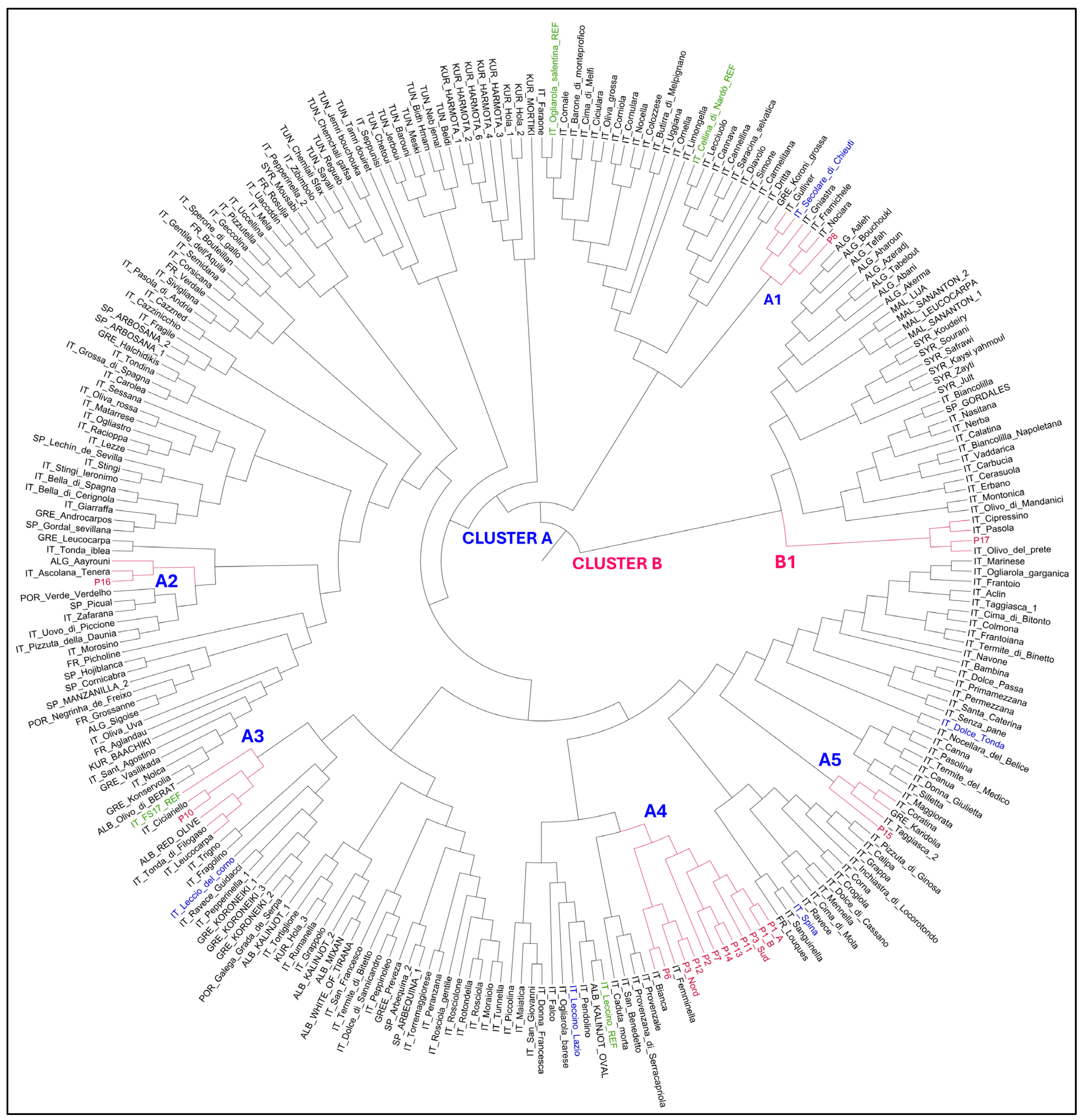 Plants 14 00157 g001 Plants 14 00157 g001