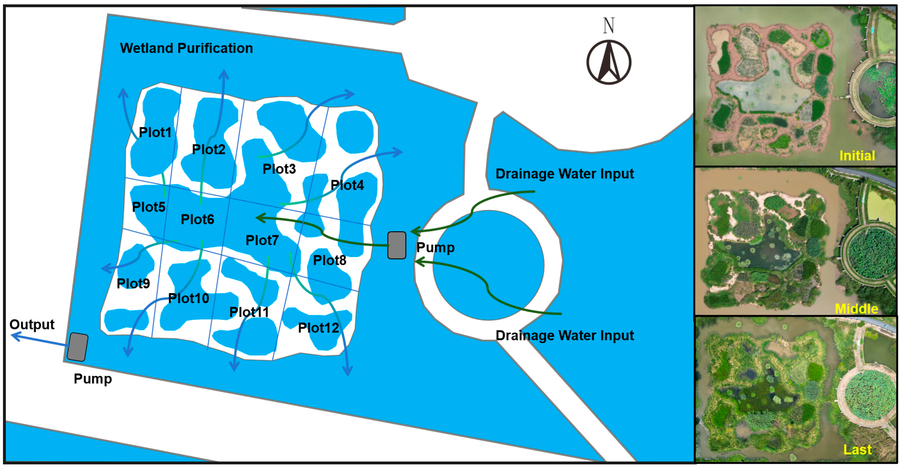 Plants 14 00162 g005