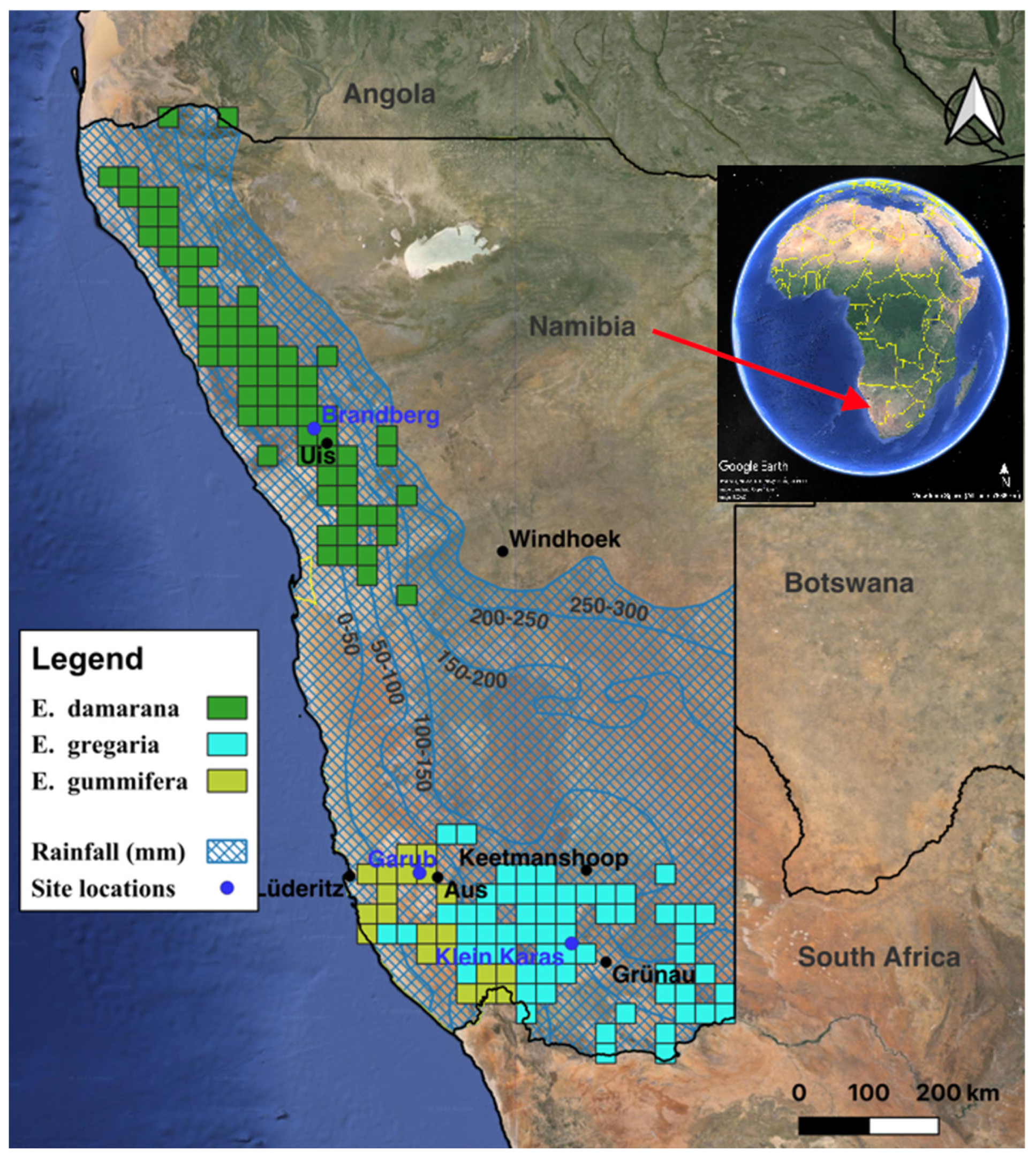 Plants 14 00190 g003