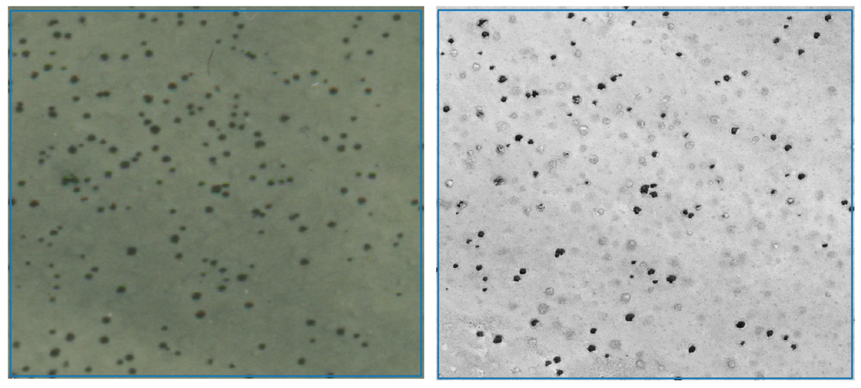 Plants 14 00190 g004