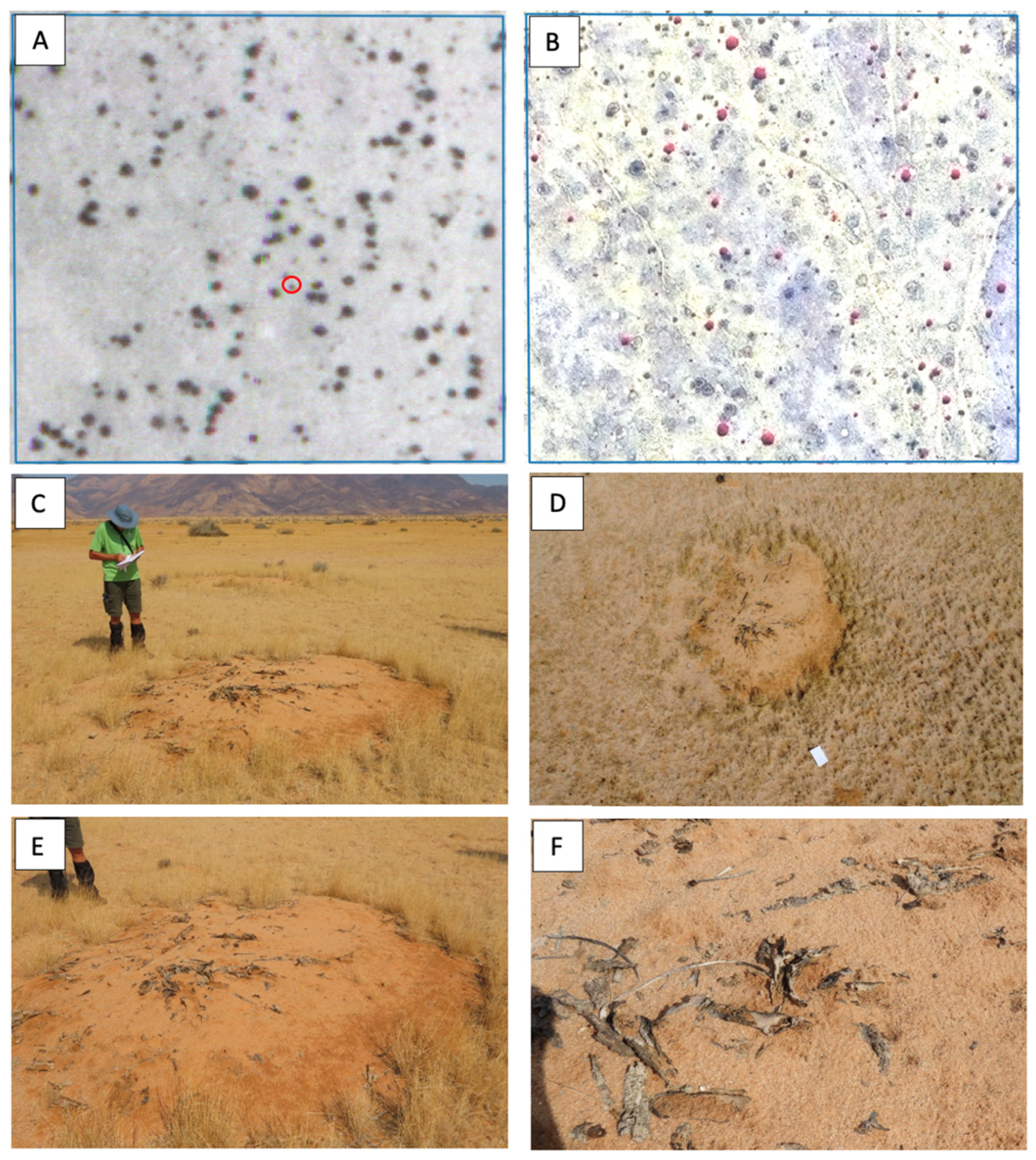 Plants 14 00190 g005