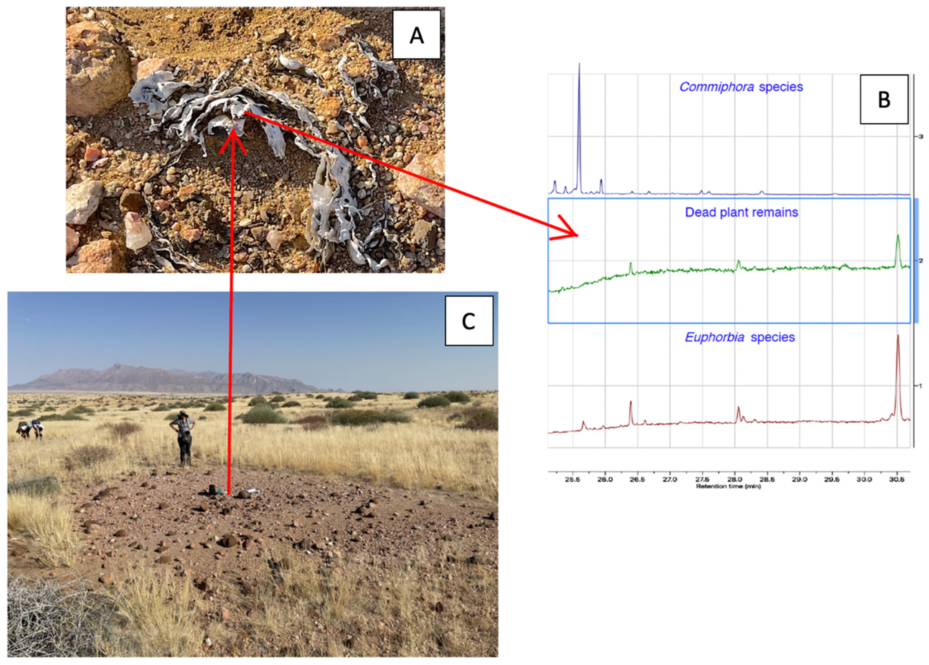Plants 14 00190 g008