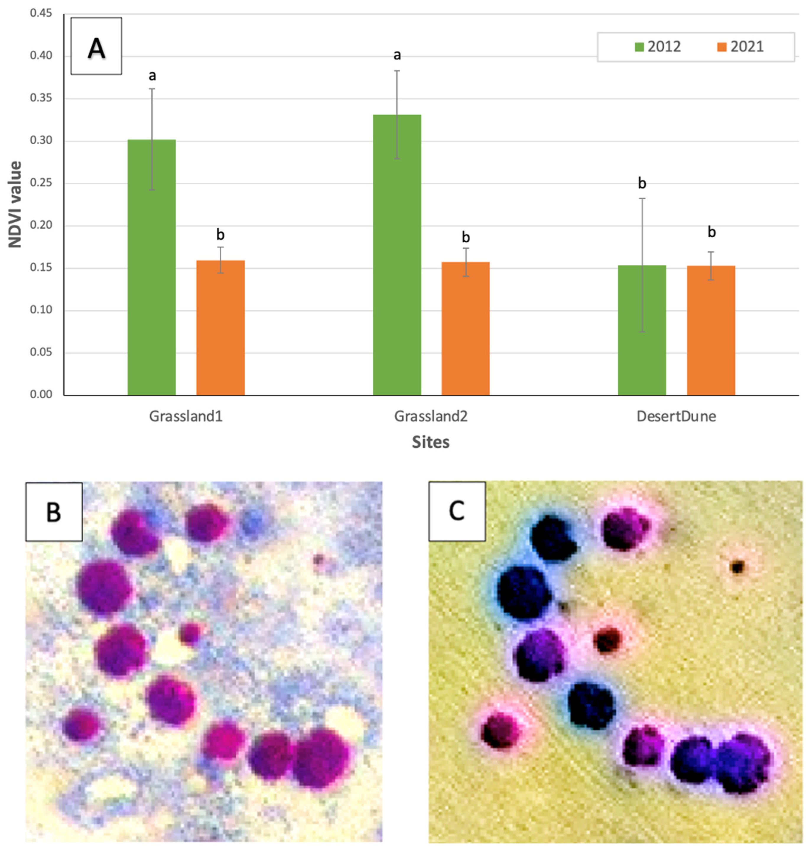 Plants 14 00190 g011