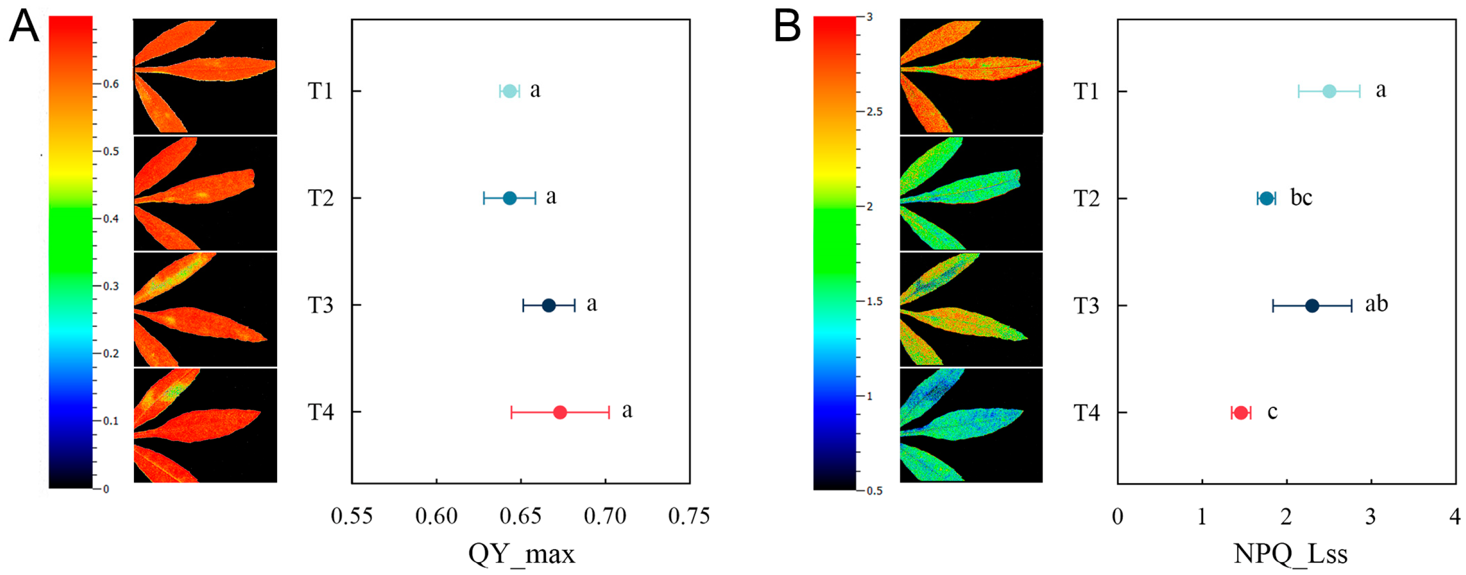 Plants 14 00243 g007