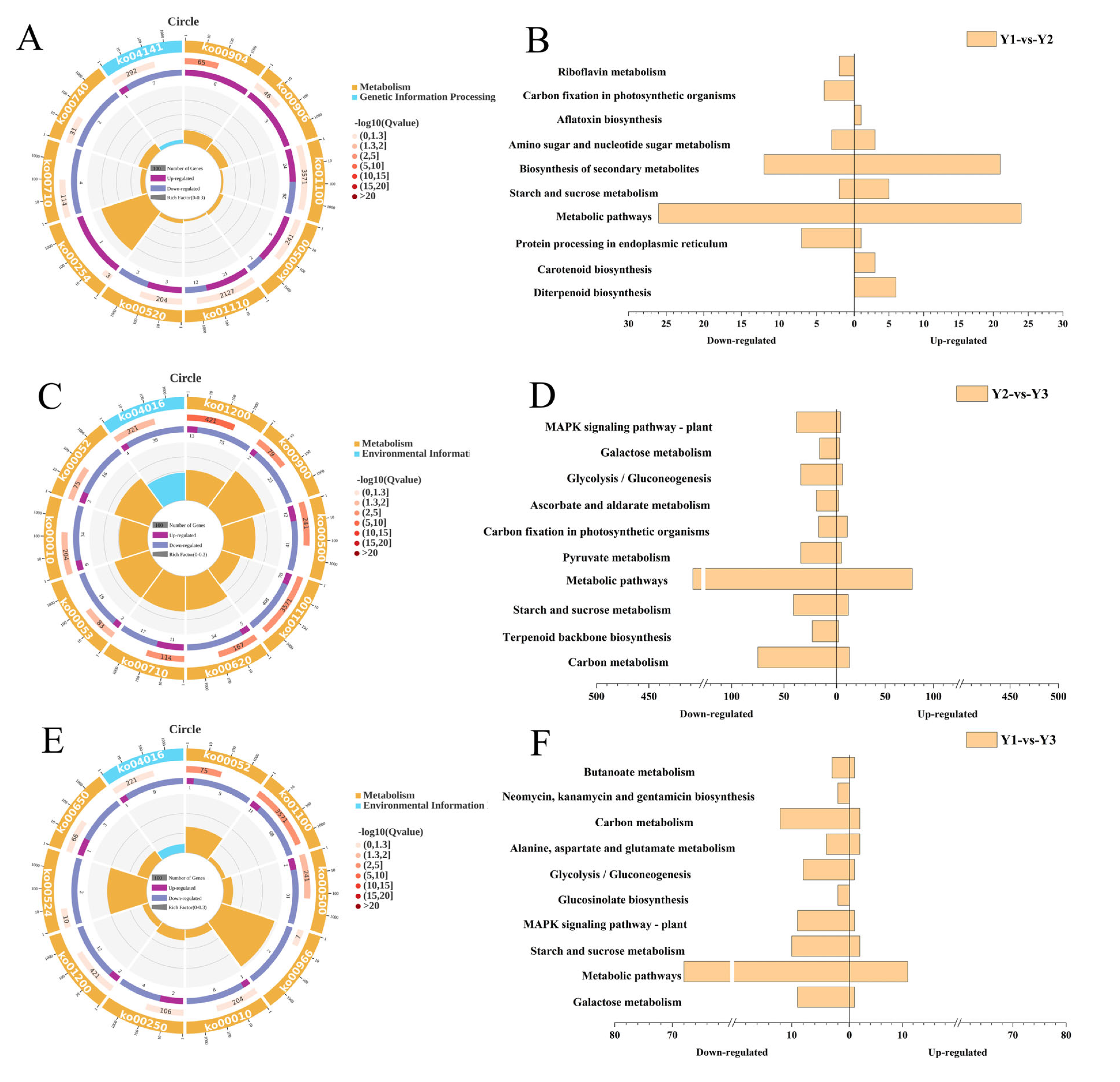 Plants 14 00244 g003