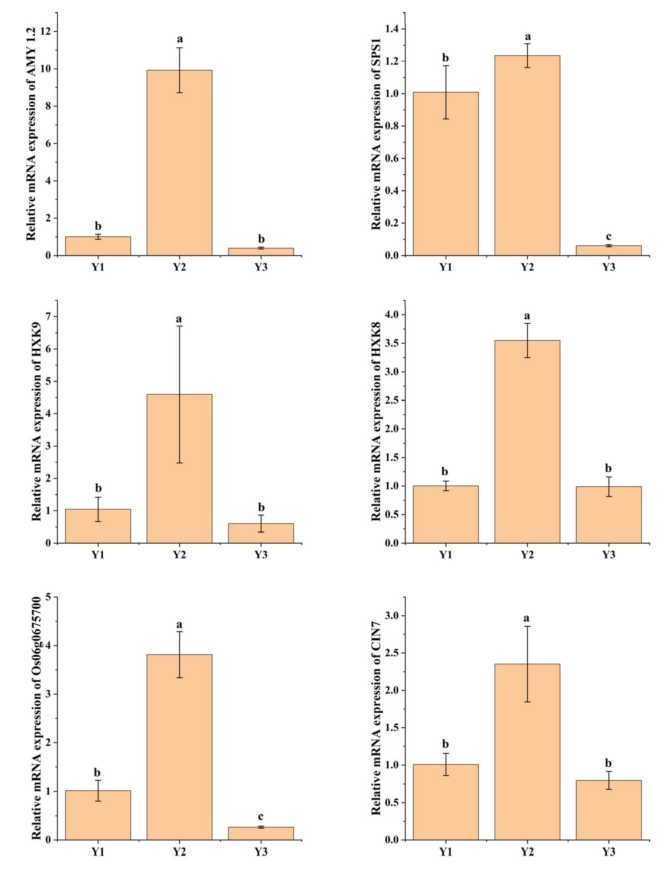 Plants 14 00244 g005