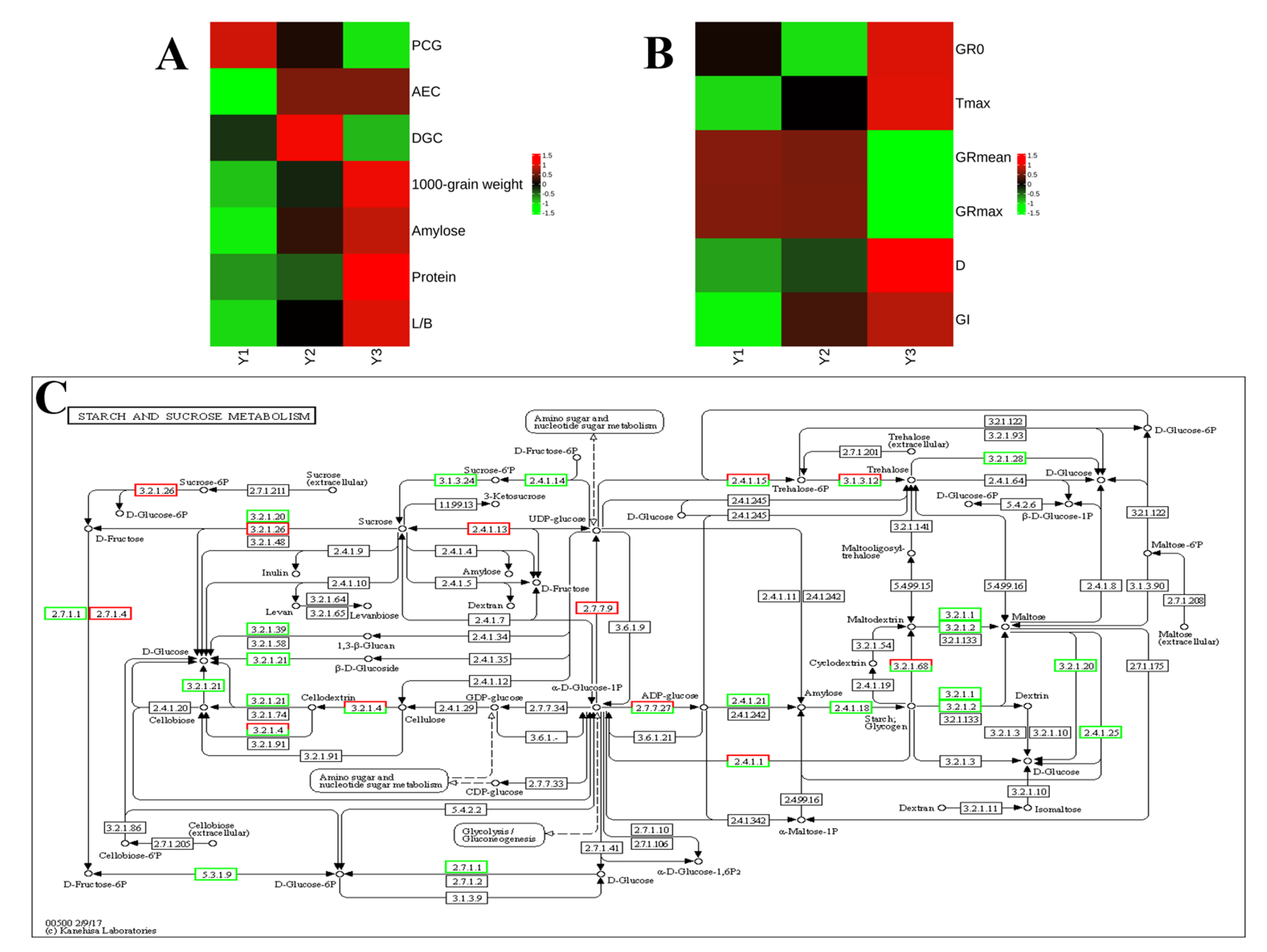 Plants 14 00244 g006